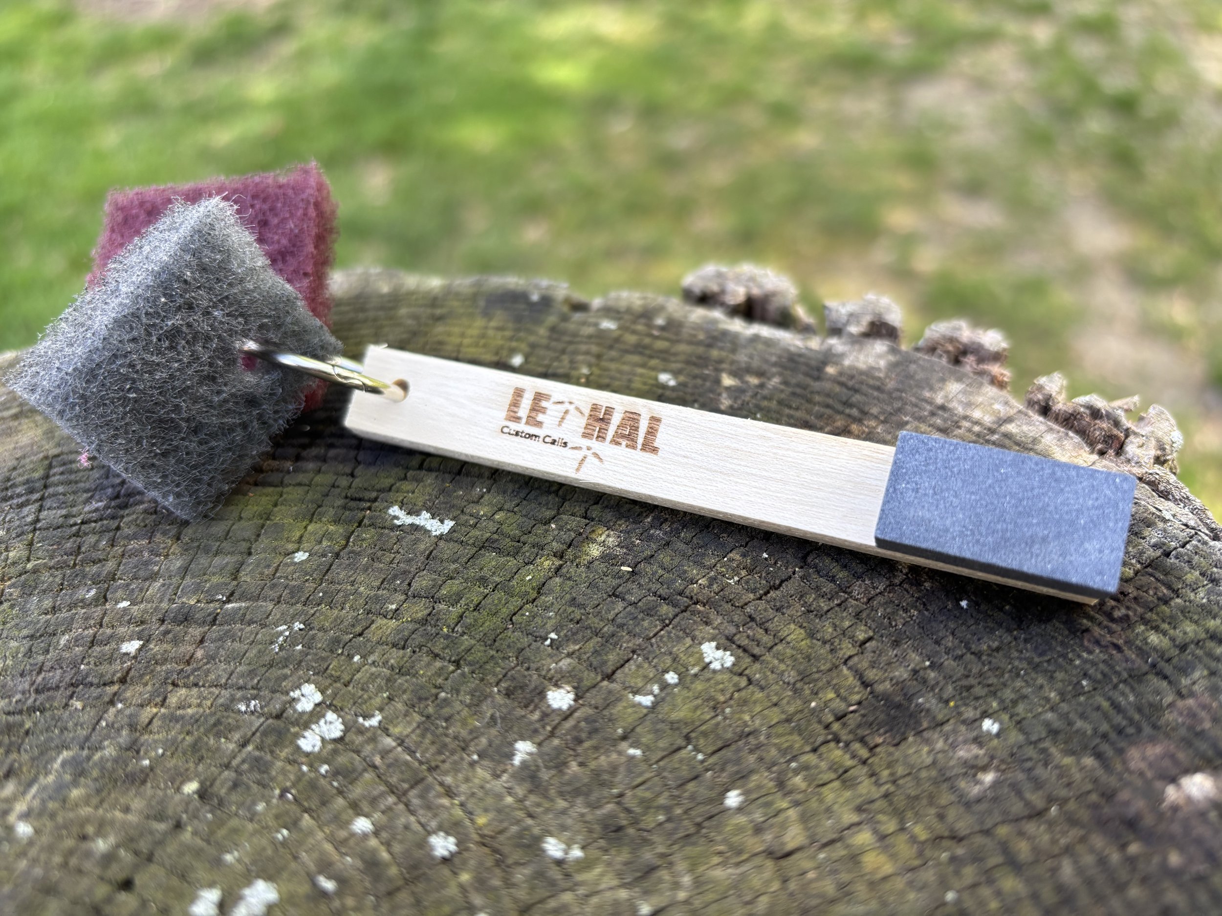 Conditioning stone on a stick