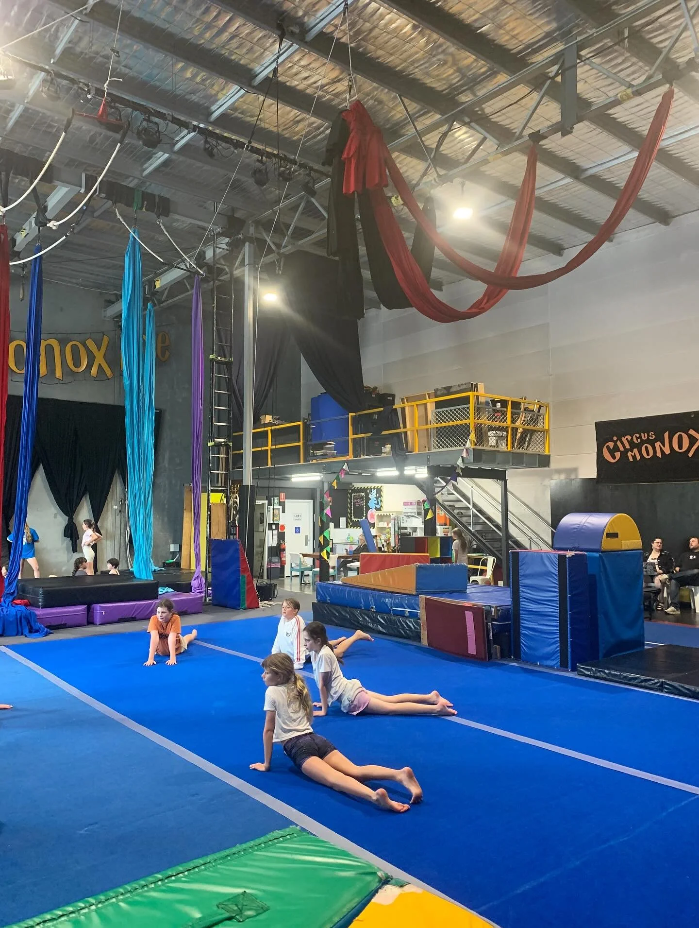 🥳 🎪WE ARE BACK FOR TERM FOUR 🤹🤩

We got busy in the holidays, getting a new mezzanine put in, moving all the gear around AND having our regularly scheduled holiday classes 😮&zwj;💨💪 We can&rsquo;t wait for you to see the new space! 💫

Term 4 c