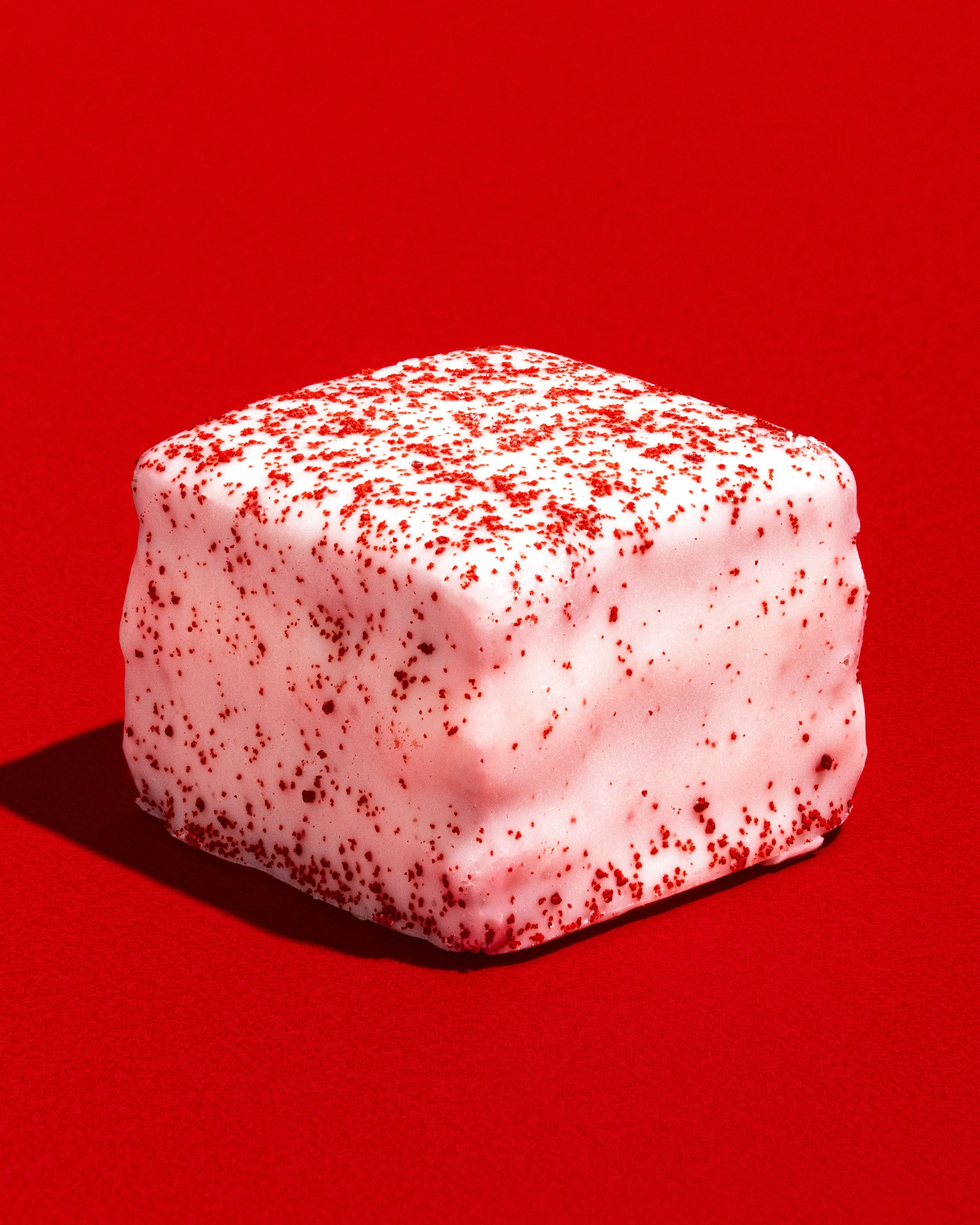 Bite-Size_4_2025-PORTFOLIO.jpg