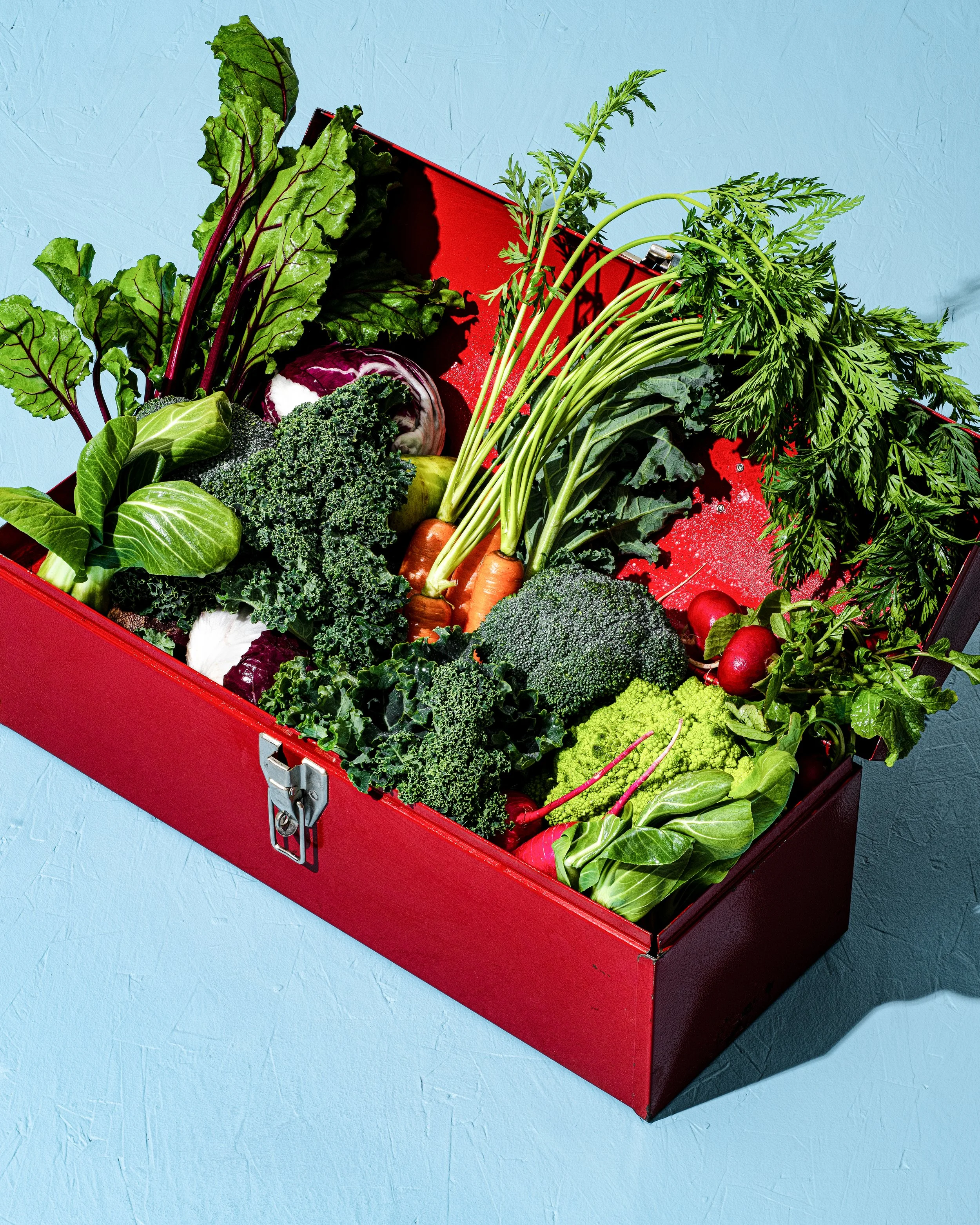Veggie-Tool-Box_2025-PORTFOLIO.jpg