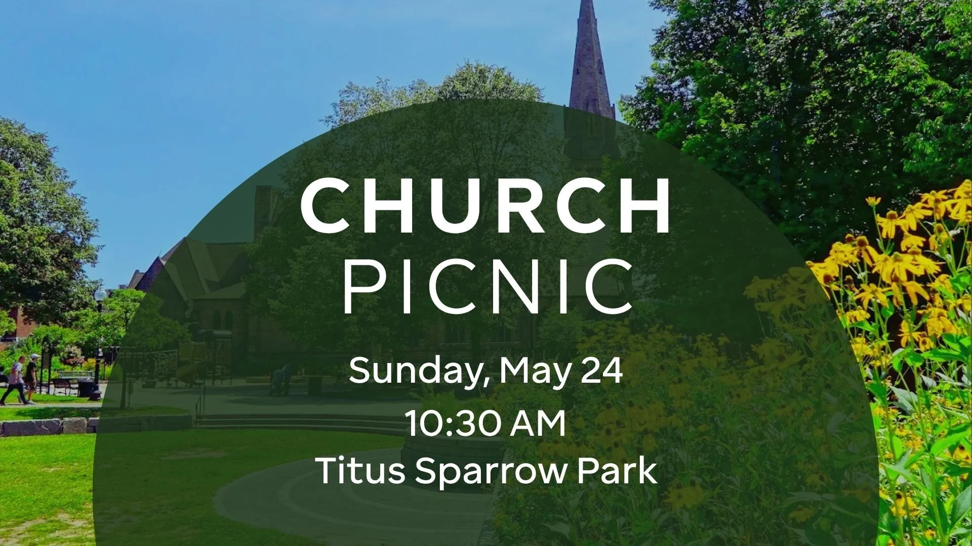 Picnic in the Park