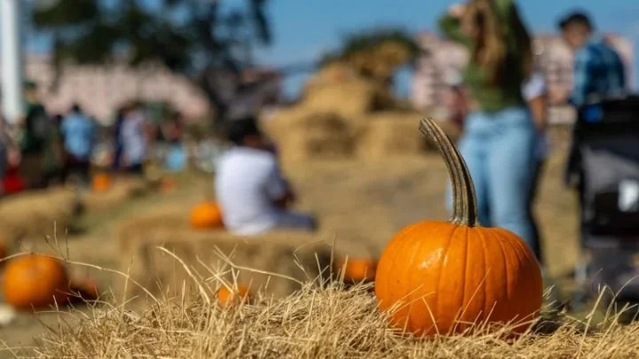 Fall Fun at the Park