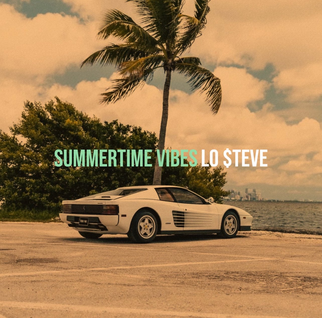 Summertime Vibes - Lo $teve.jpeg