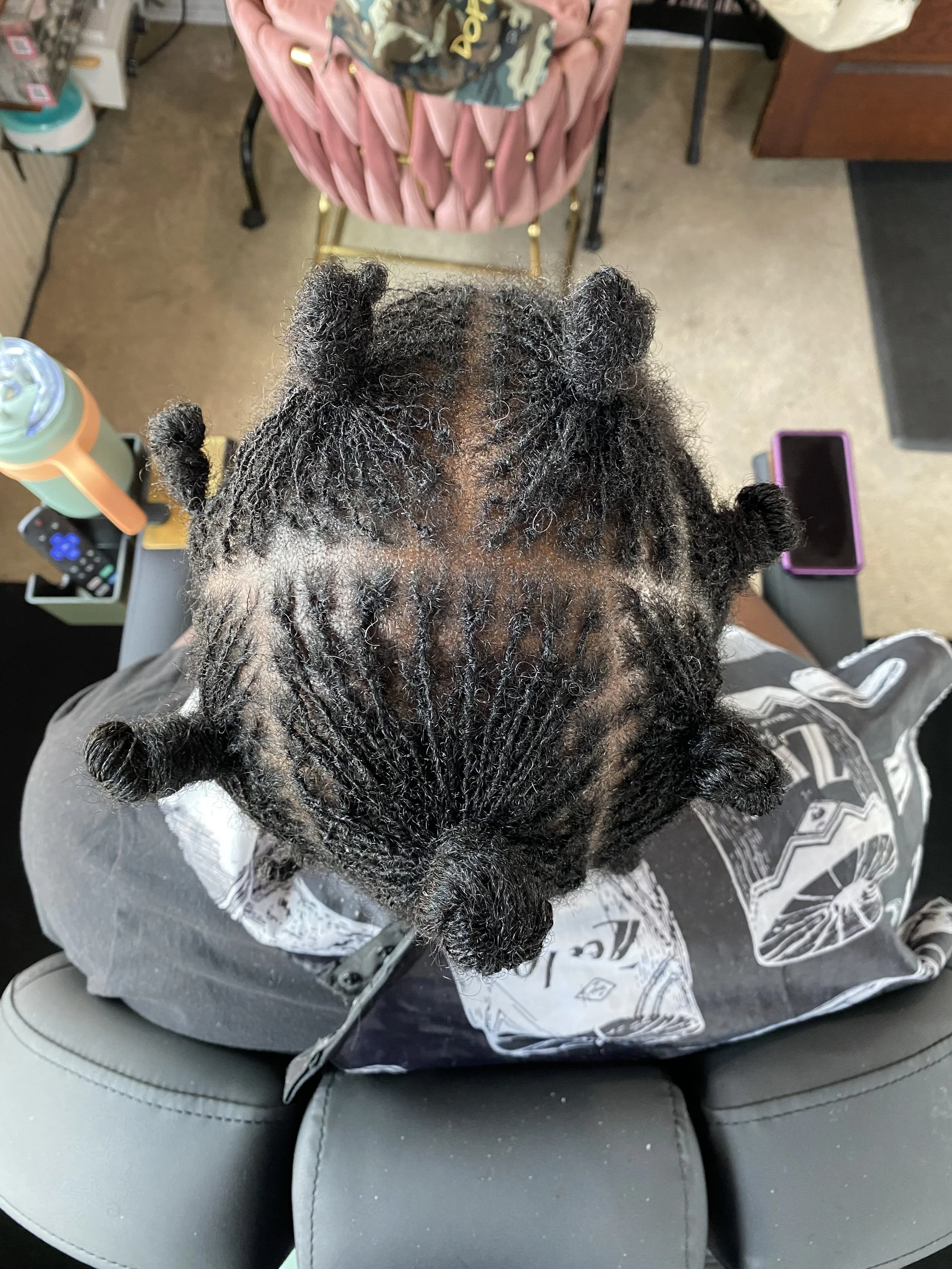 ADULT SISTERLOCKS ESTABLISHMENT