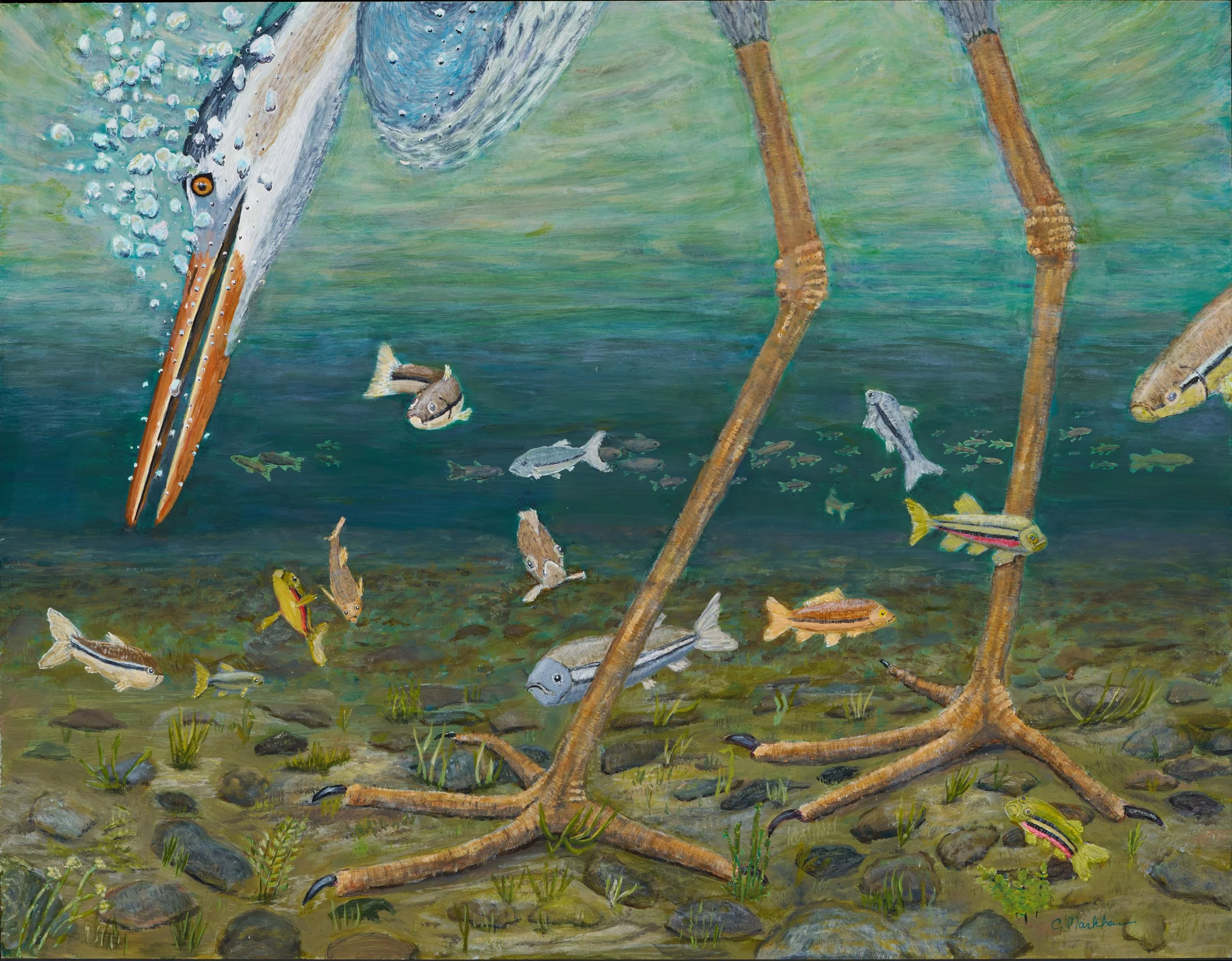 Fishing Longlegs 14x18