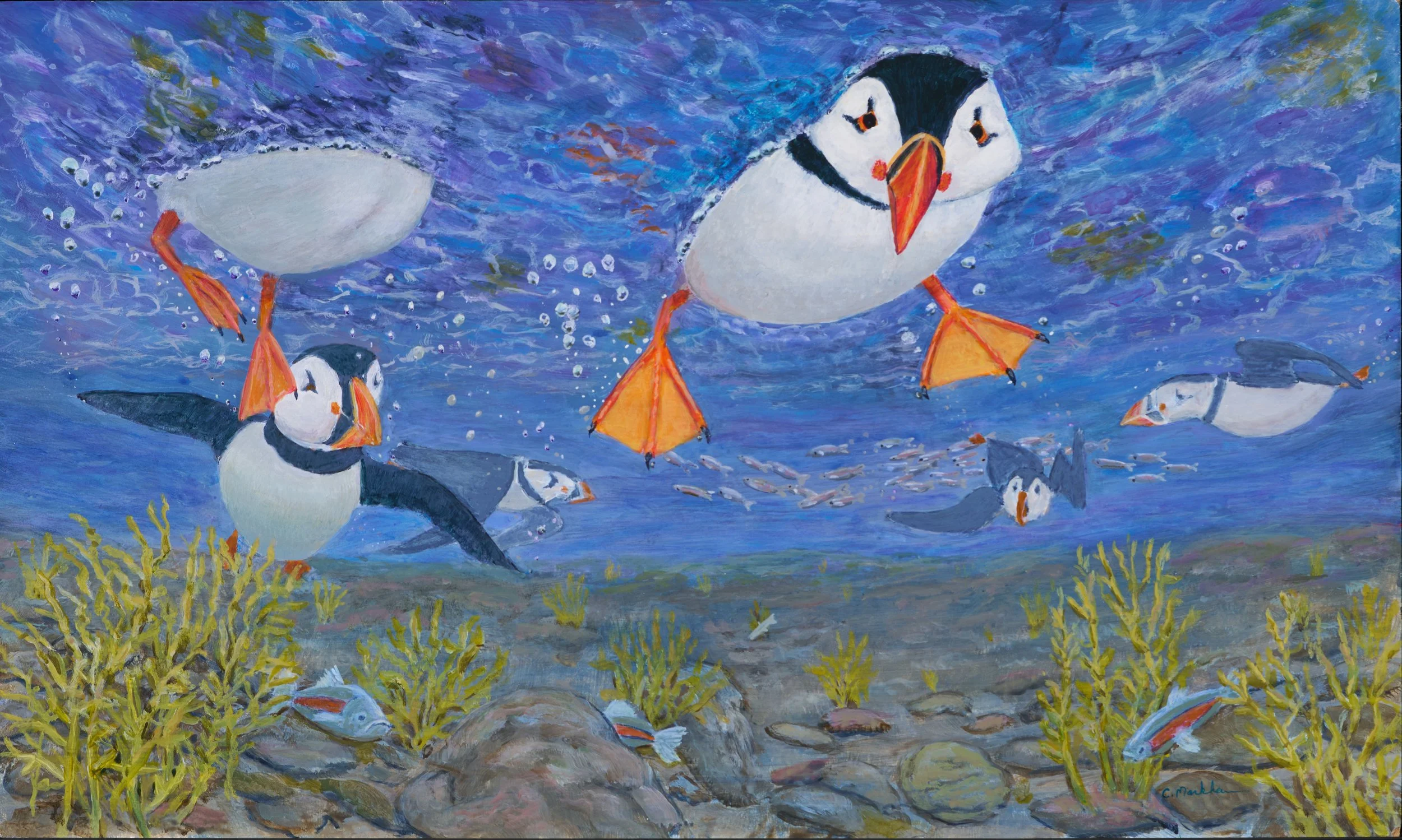 The Flotilla 10.75 x 18