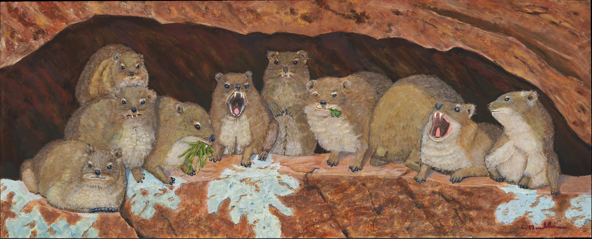 Hyrax Huddle 9.5 x 24