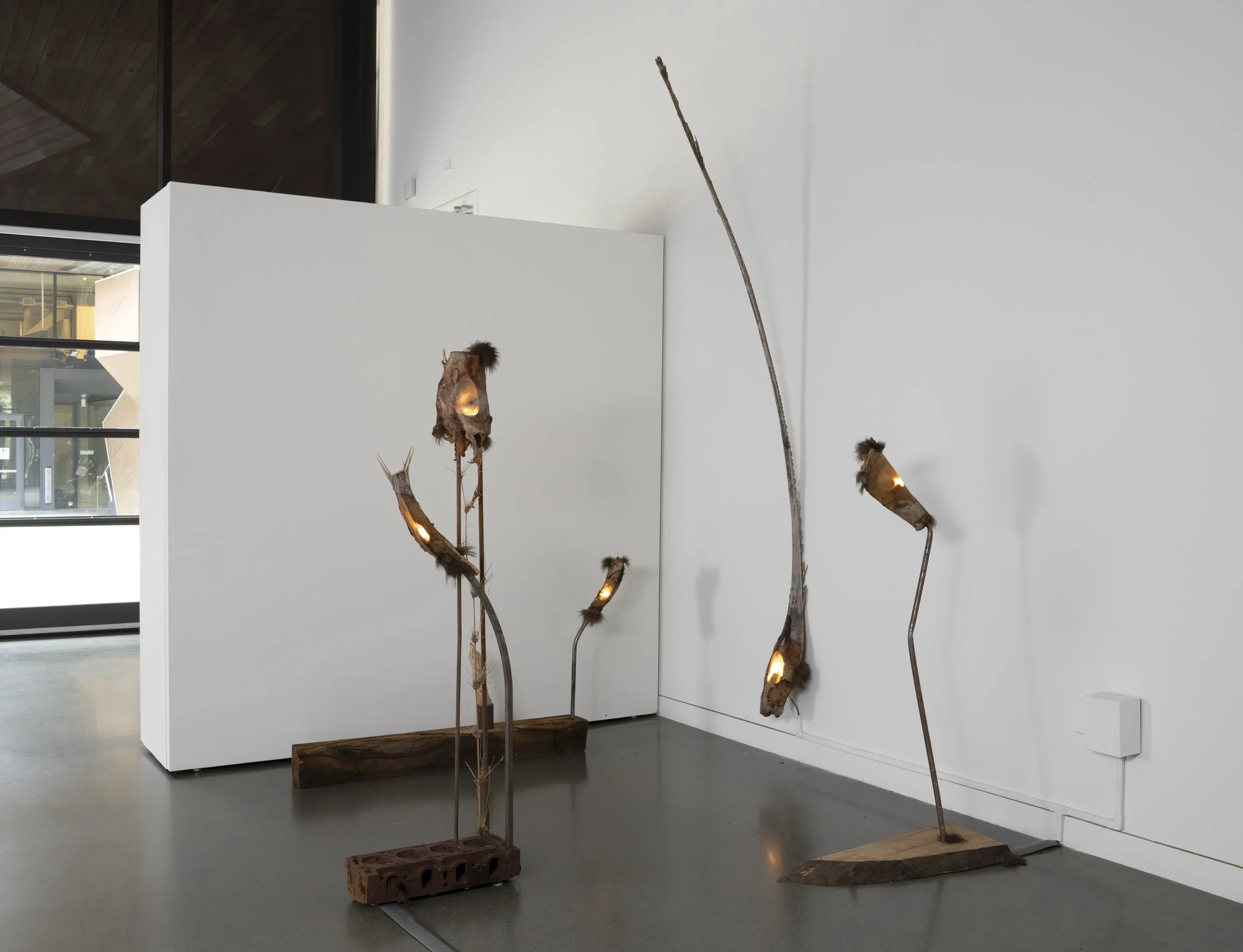 Reliquaries for Detritus, 2026