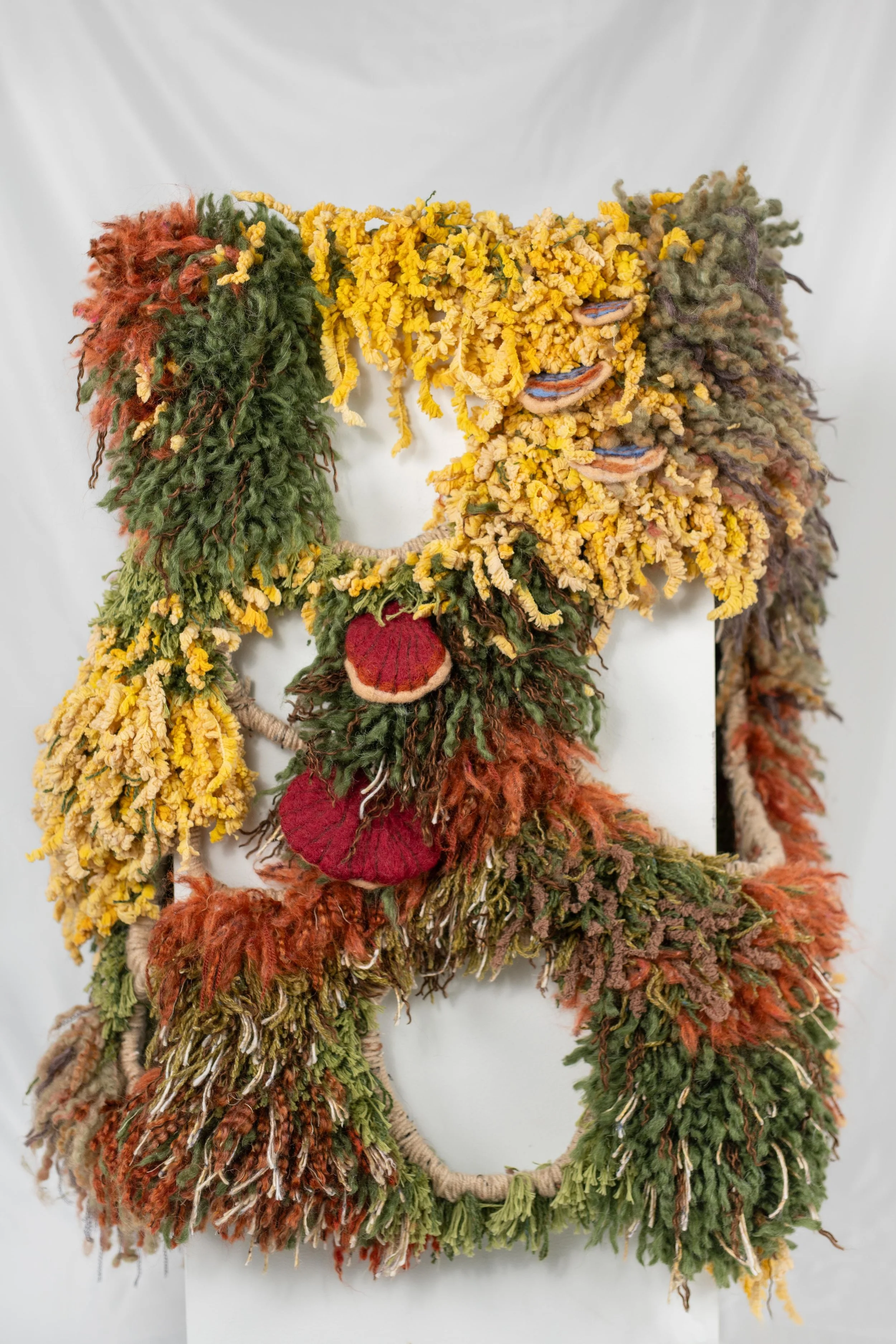 Moss Image, 2023-2024, 
Plant-dyed wool, needle-felted fungi,
3.5x3'