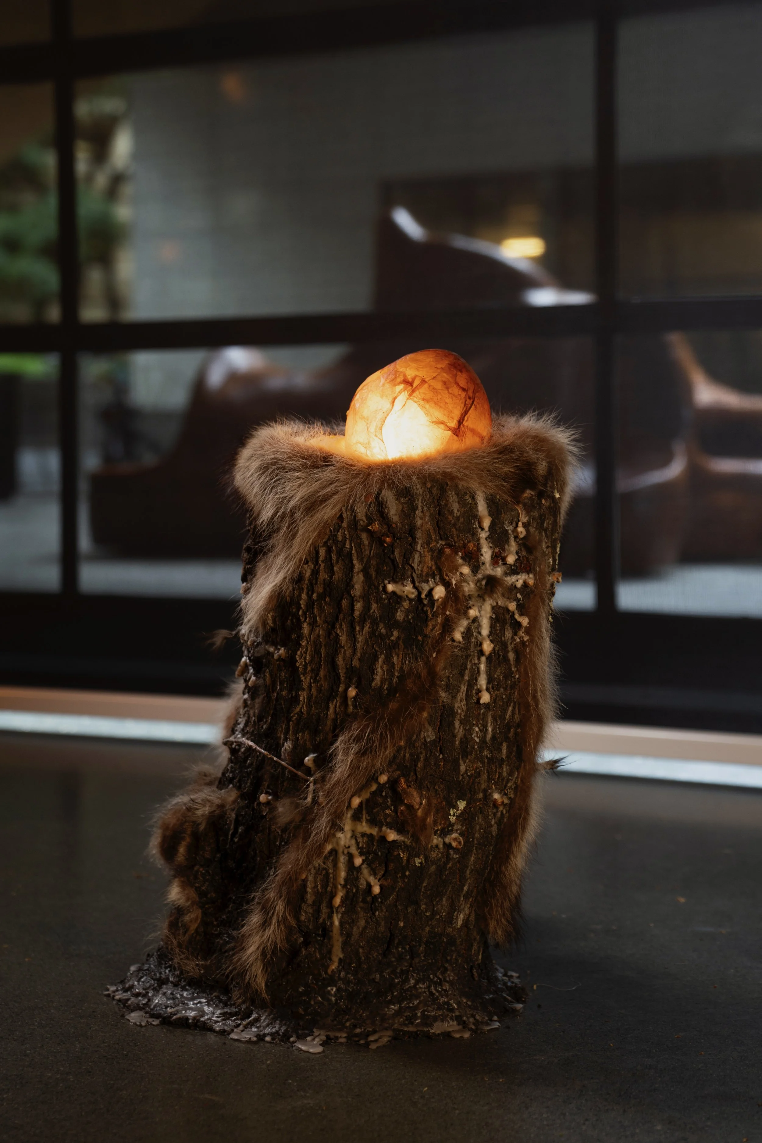 Permeable Bodies, 2026 (Detail - Chimeras)
