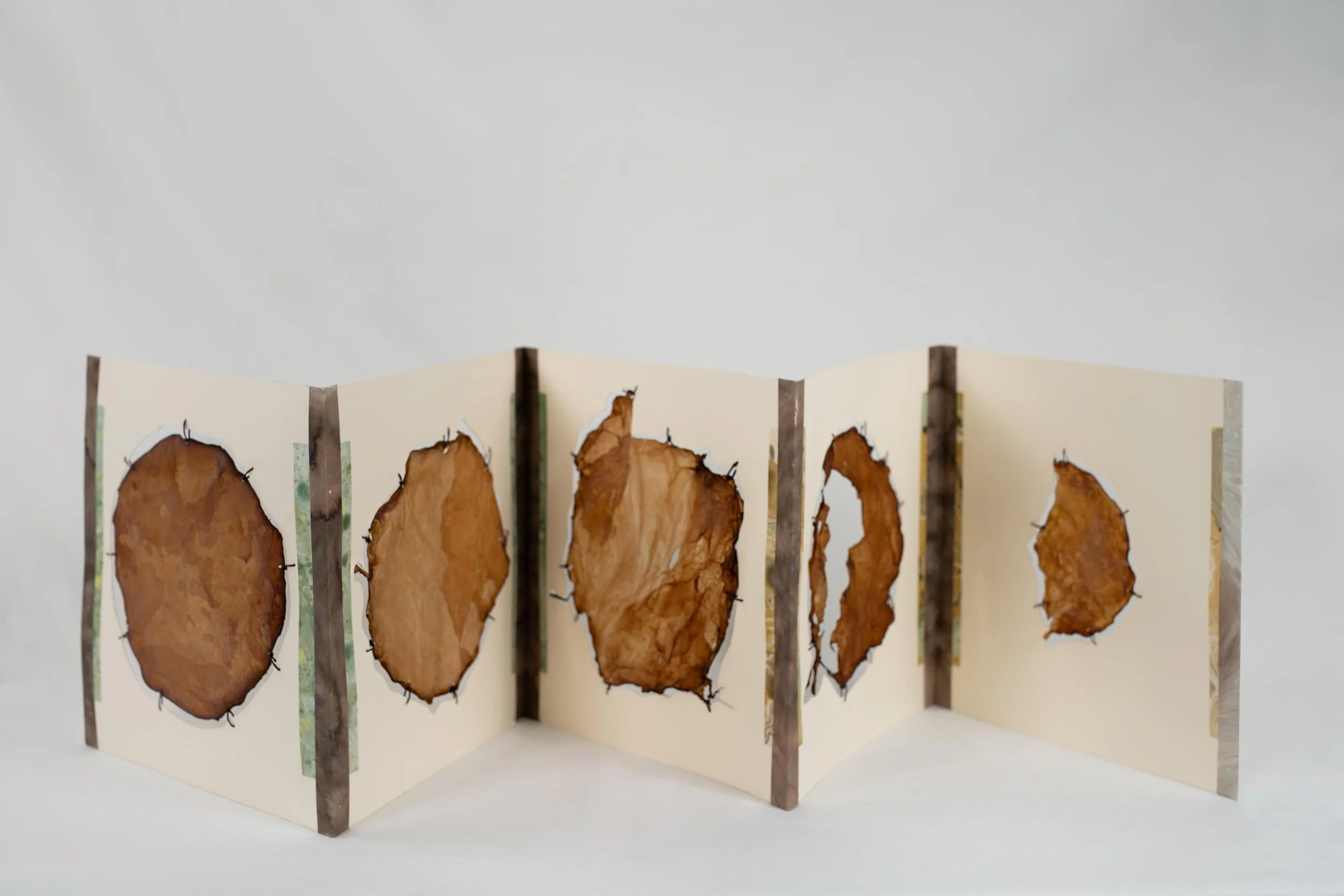 SCOBY divider, 2024,
Leather-dried SCOBY, Suminagashi paper, twine, 
6x1' 