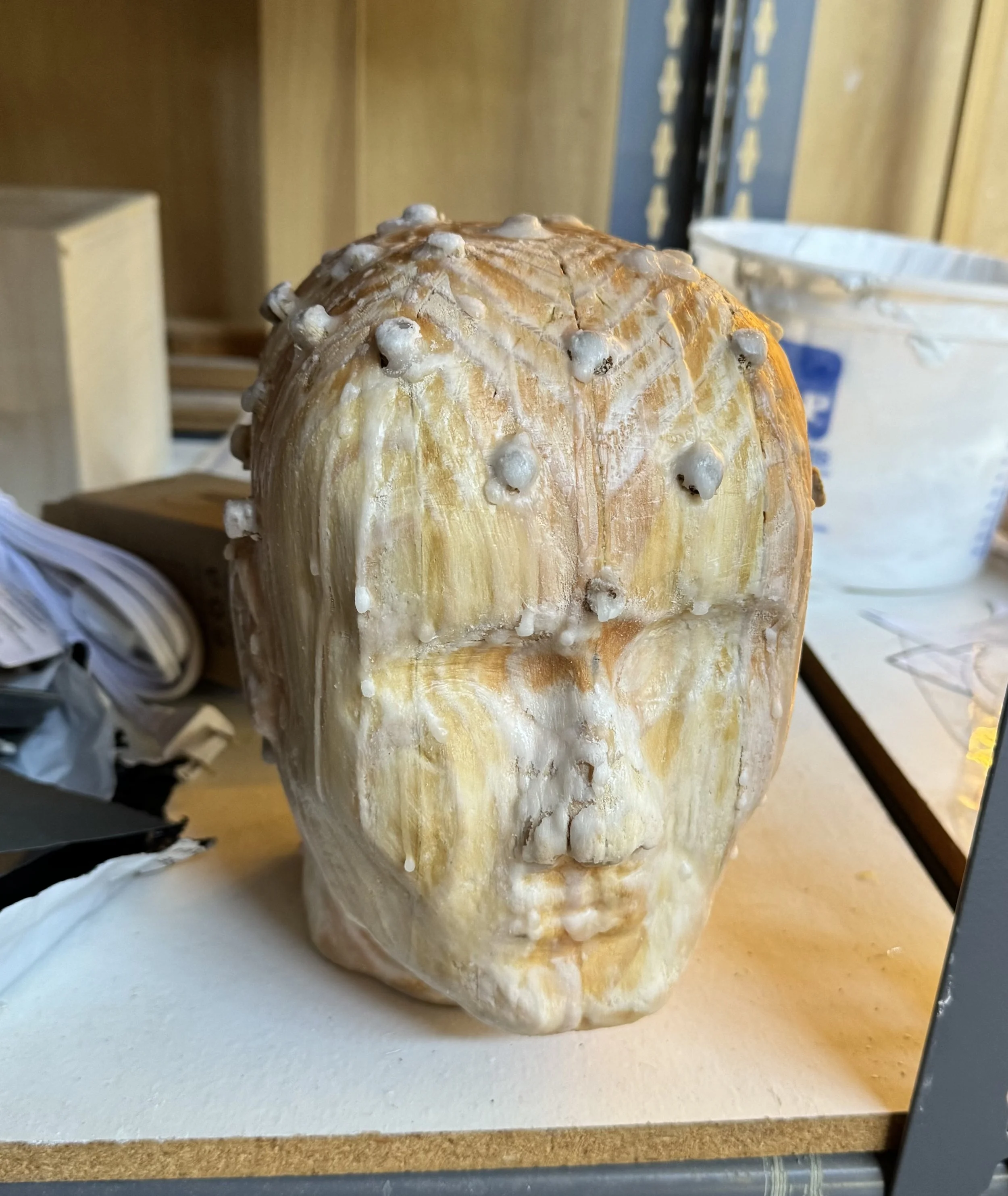 Gradual Decline, 2024,
Pine inoculated with Pleurotus ostreatus, soy wax, 
6x8x7"