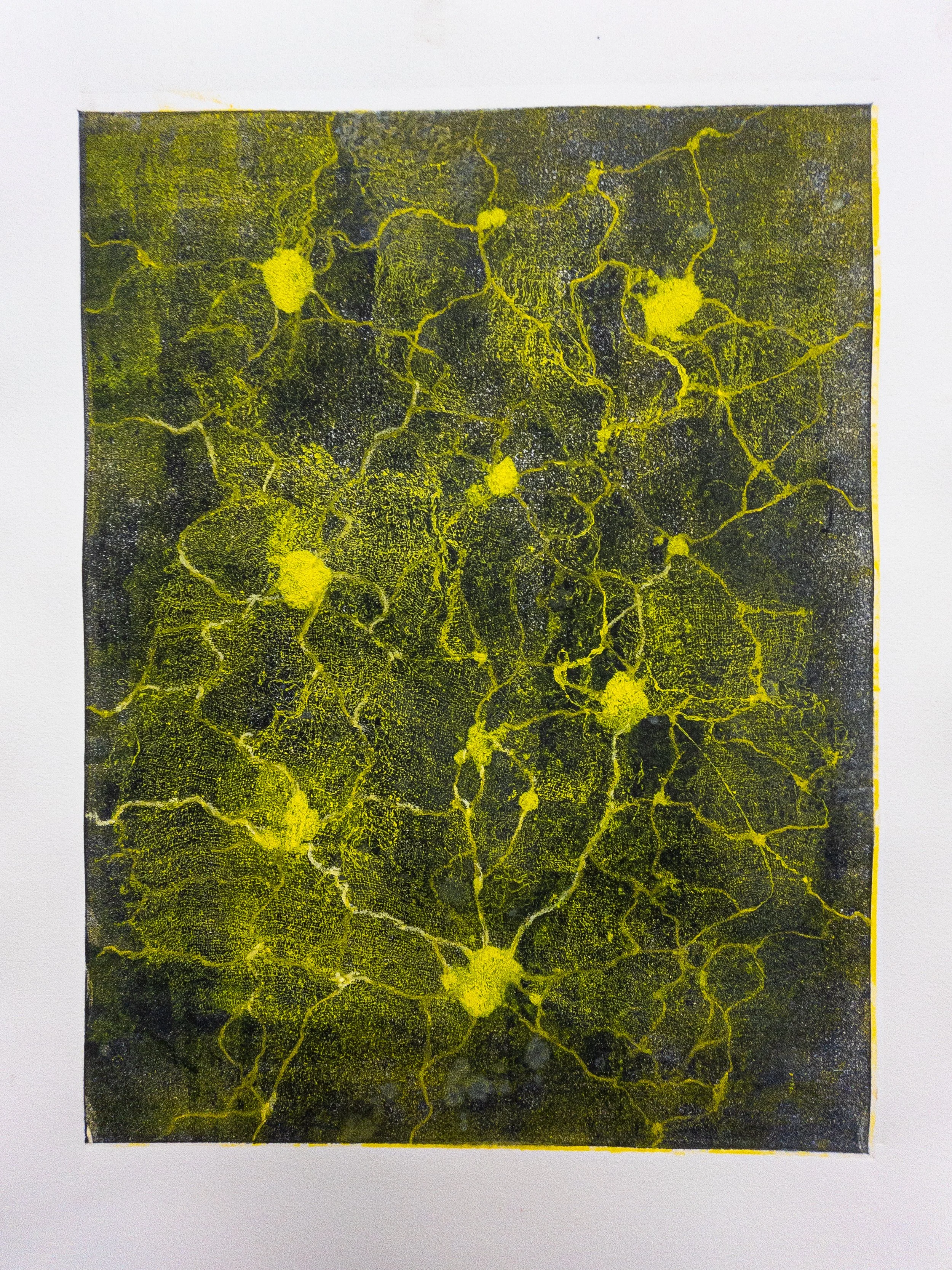 Regenerative Decay (i), 2024,
Monotype print, 
12x18"