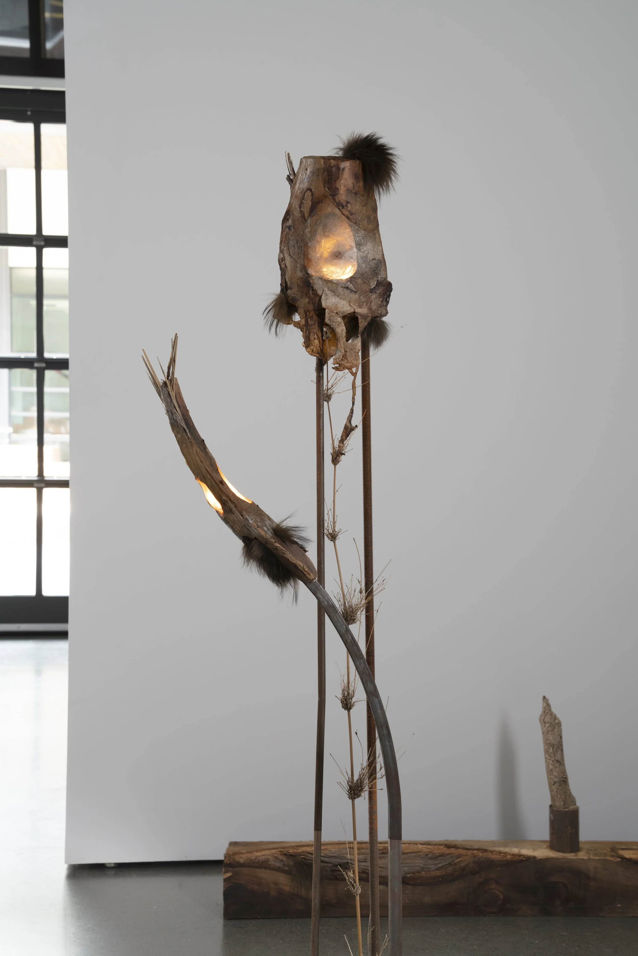 Reliquaries for Detritus, 2026 (Detail) 