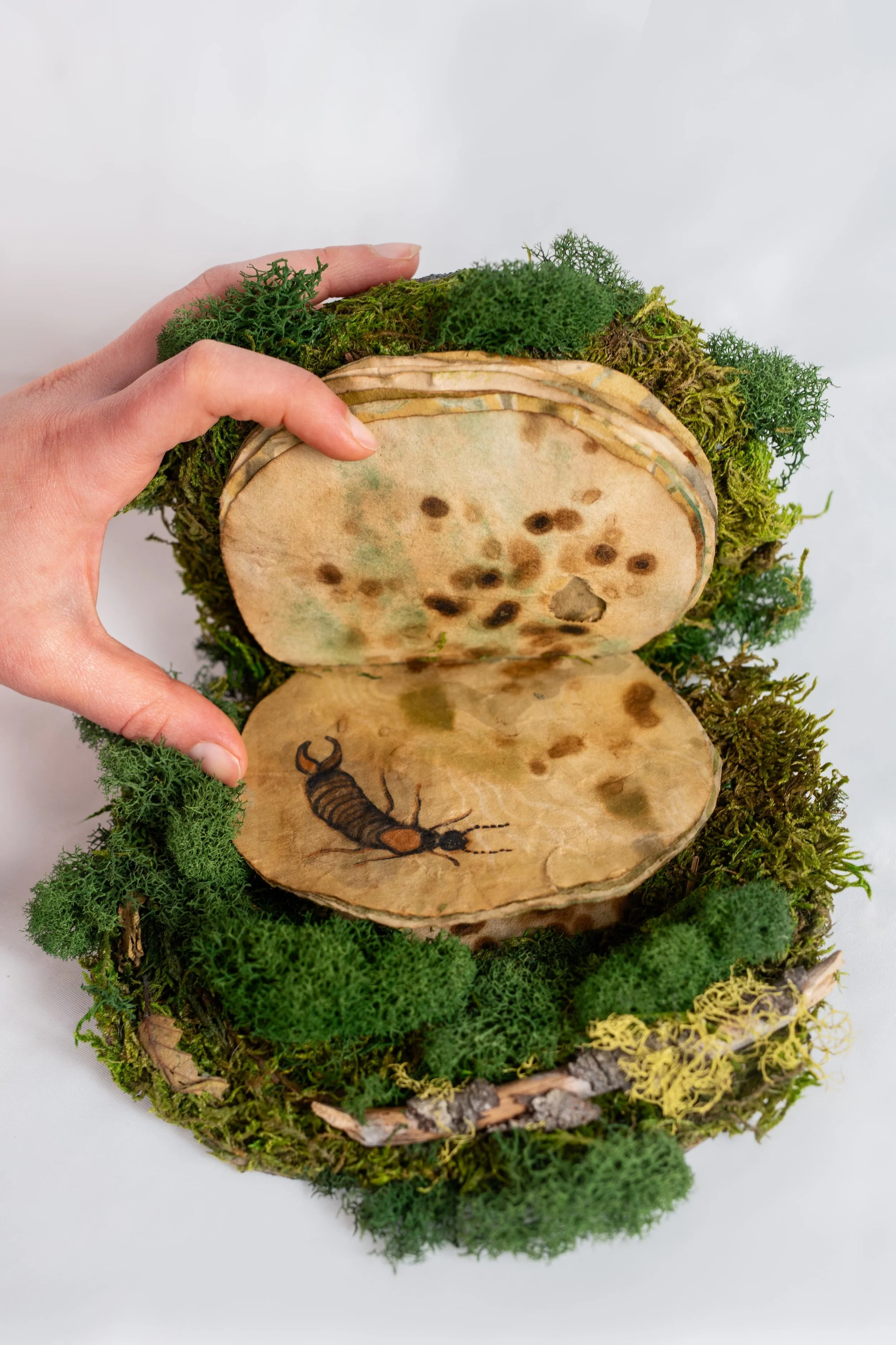 
The Underside, 2024, 
Paper mache, Suminagashi paper, preserved moss,
8x8x4"