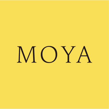 MOYAのNPO法人化について