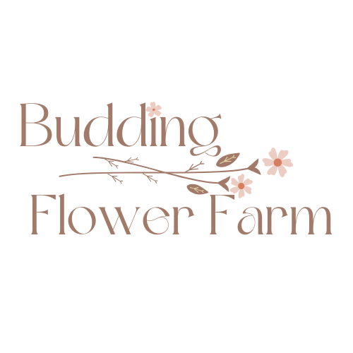 Budding Flower Farm
