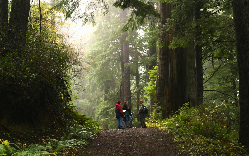 Nature Matters: North Coast Land Conservancy's Work and History