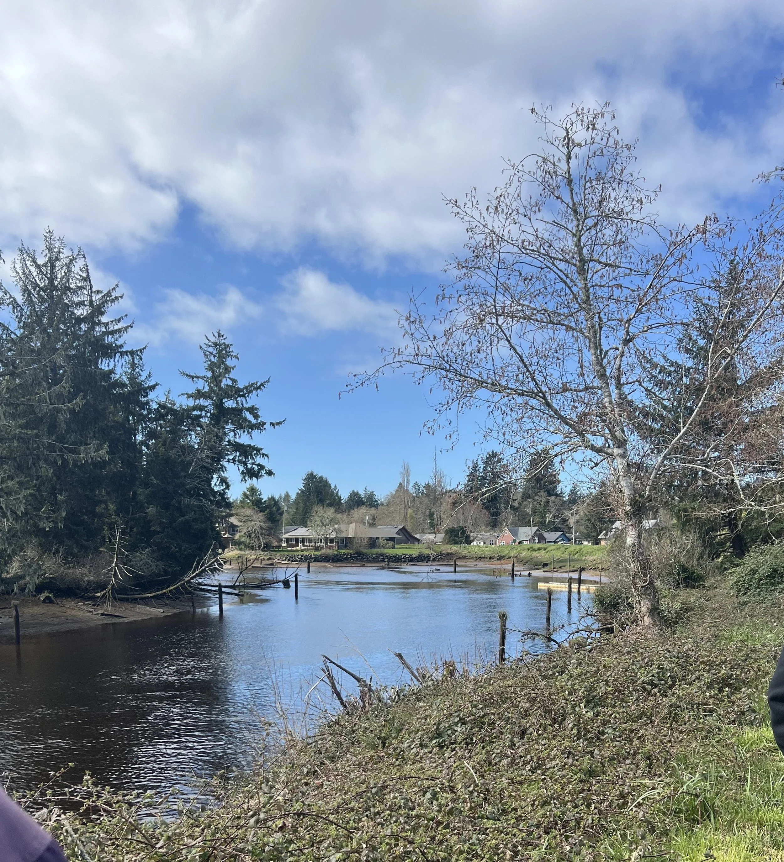 Weeding the Warrenton Waterfront Trail