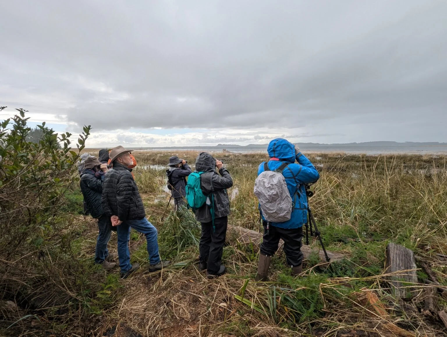 Columbia Land Trust Stewardship Event: Wallacut River Confluence