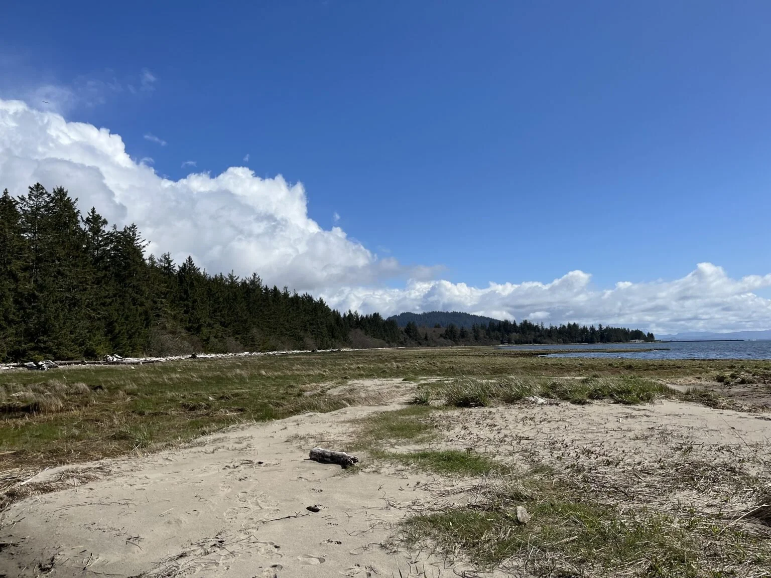 Columbia Land Trust Stewardship Event: Chinook River Confluence