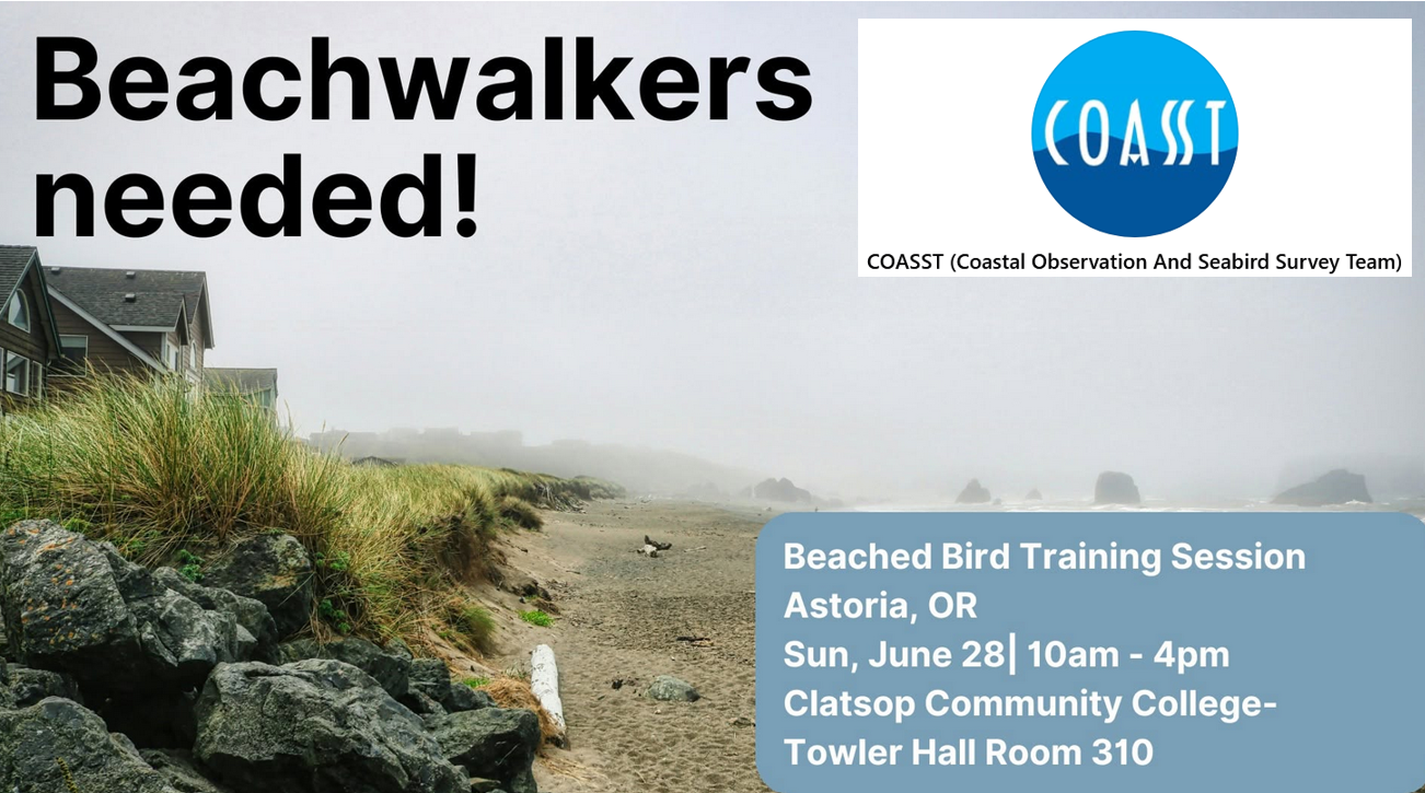 COASST Beached Bird Training Session