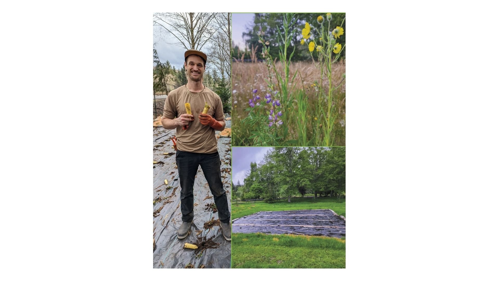 Nature Matters: Making Meadows