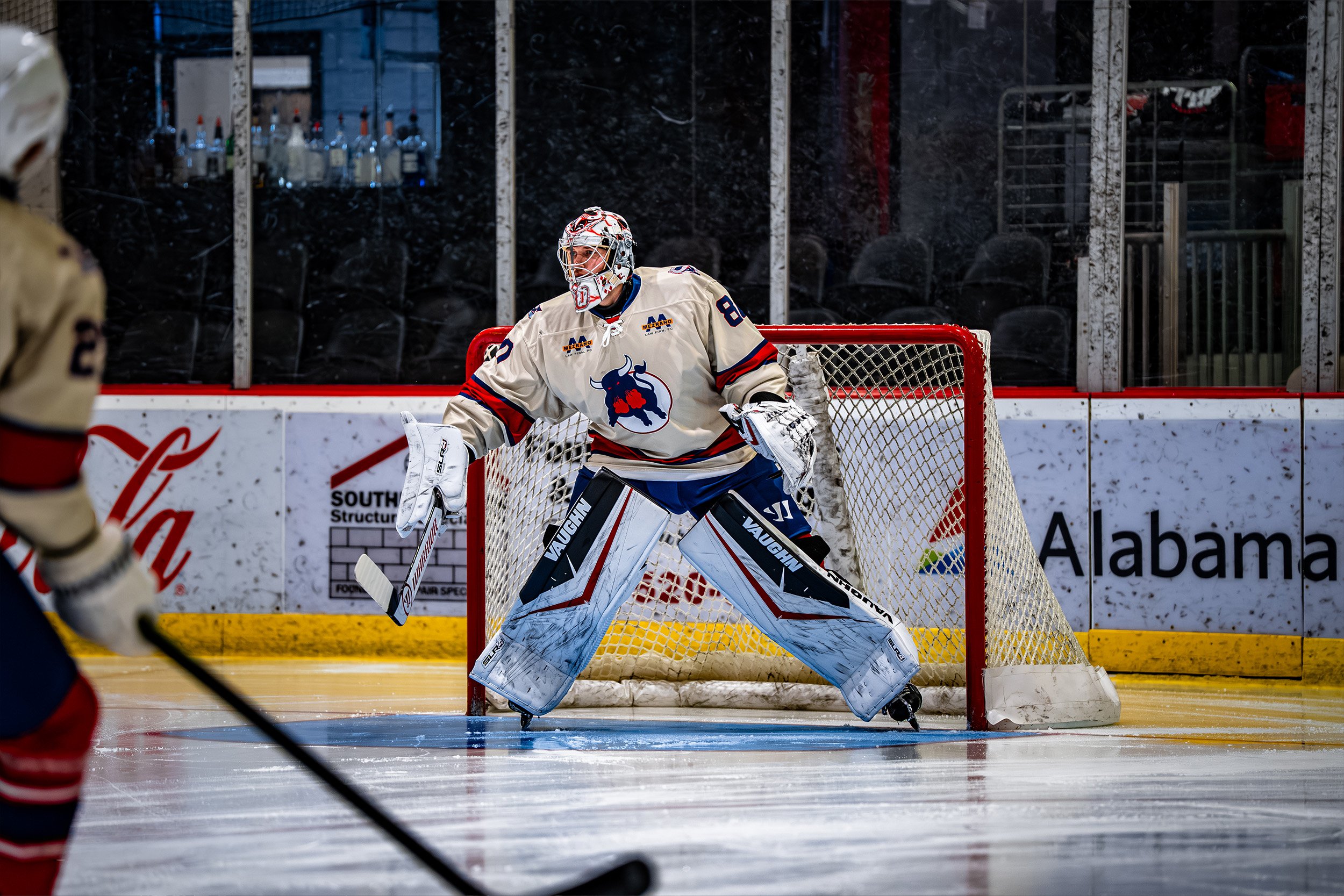 Birmingham Bulls (hockey) goalie framed by the goal net