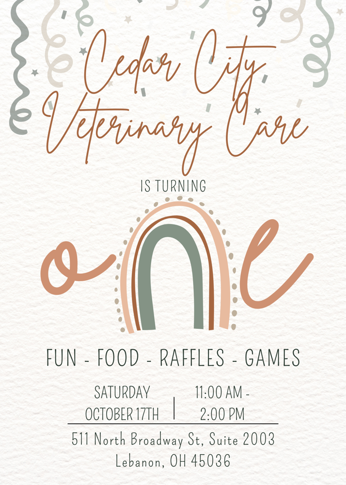 Cedar City is Turning 1!