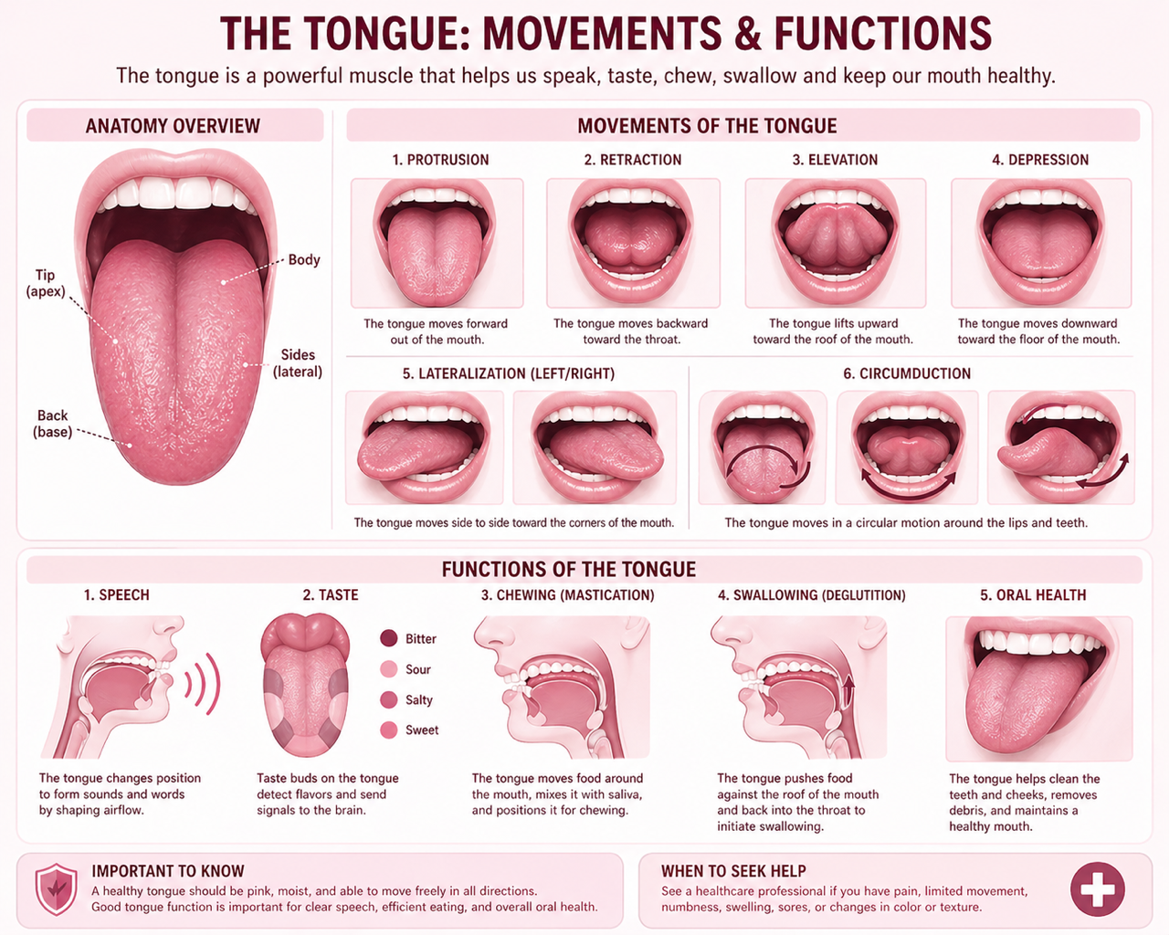 Why a tongue tie matters, mild tongue ties still count, not just a little tie, tongue tie doctor, Ankyloglossia, oral ties, Breast feeding issues, tongue tie release, how the tongue moves, why the tongue is so important, breast-feeding mechanics,