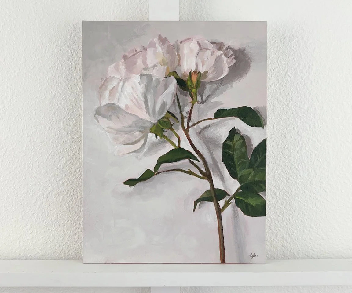 painting of white and light pink roses on white background