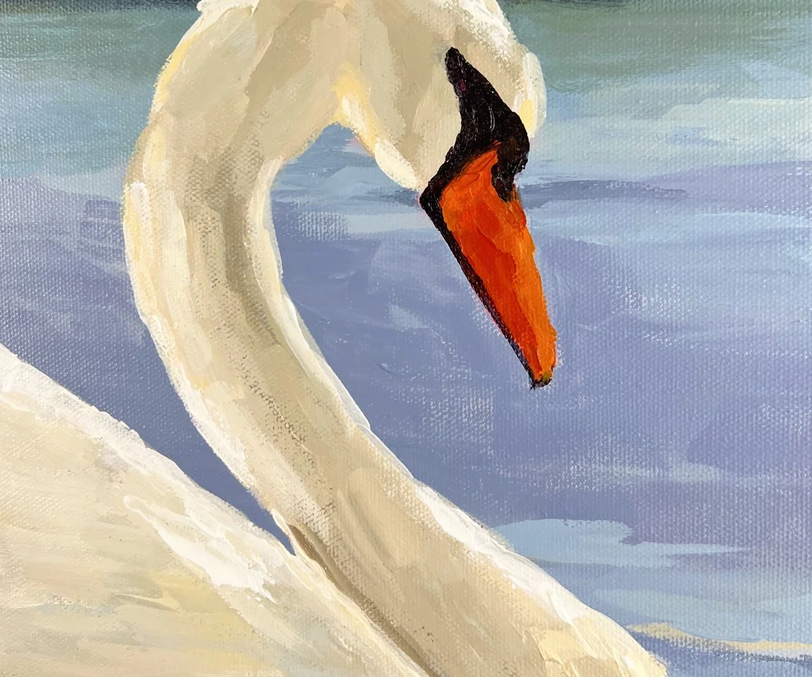 Swan Reflection Detail Head.jpg