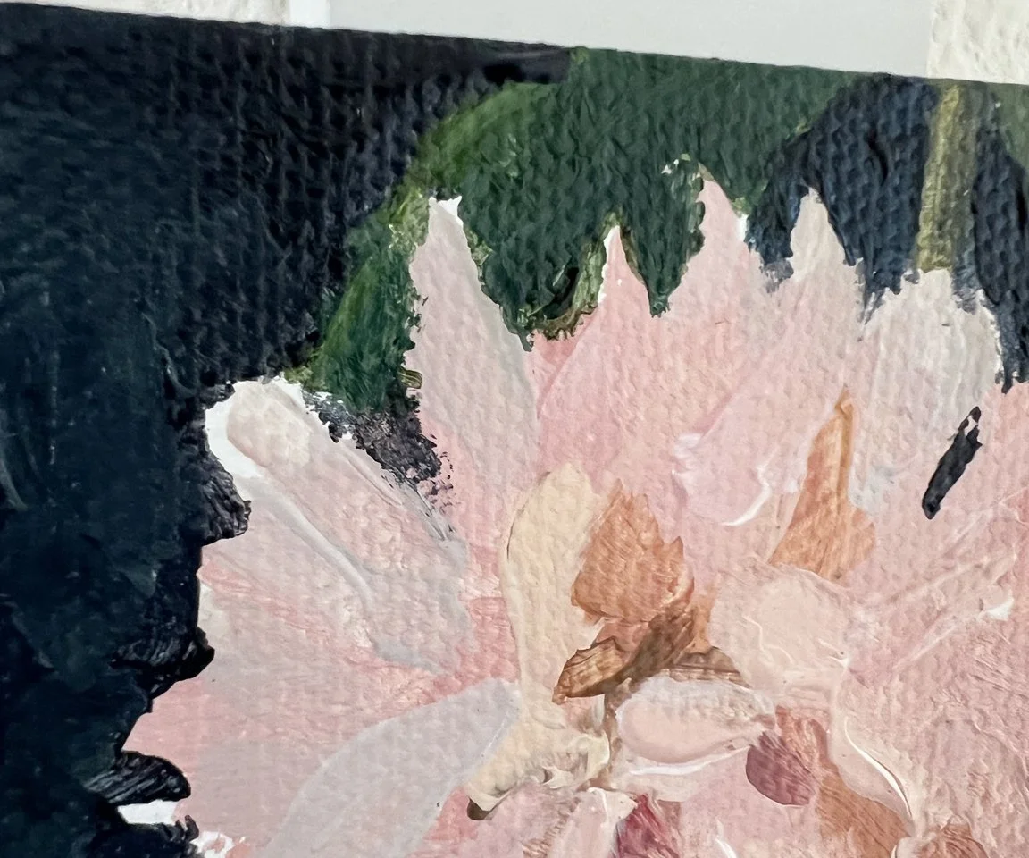 detail image of aster mum petals on navy