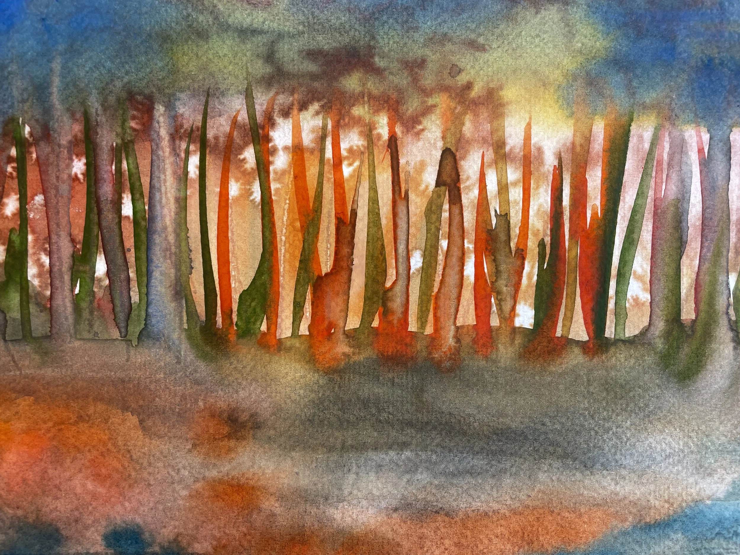 002 Skies End - close.JPG