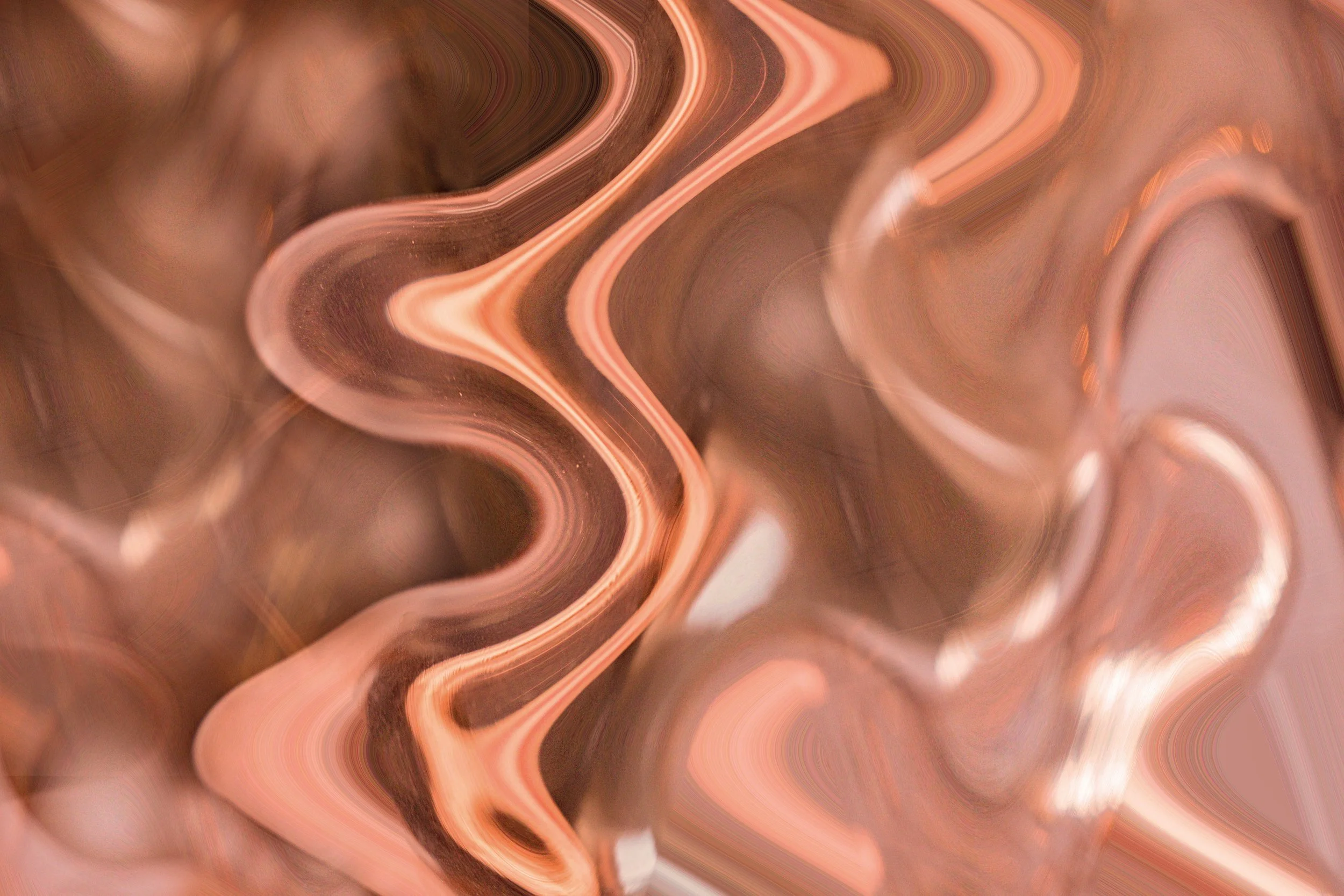 00010-Root.jpg