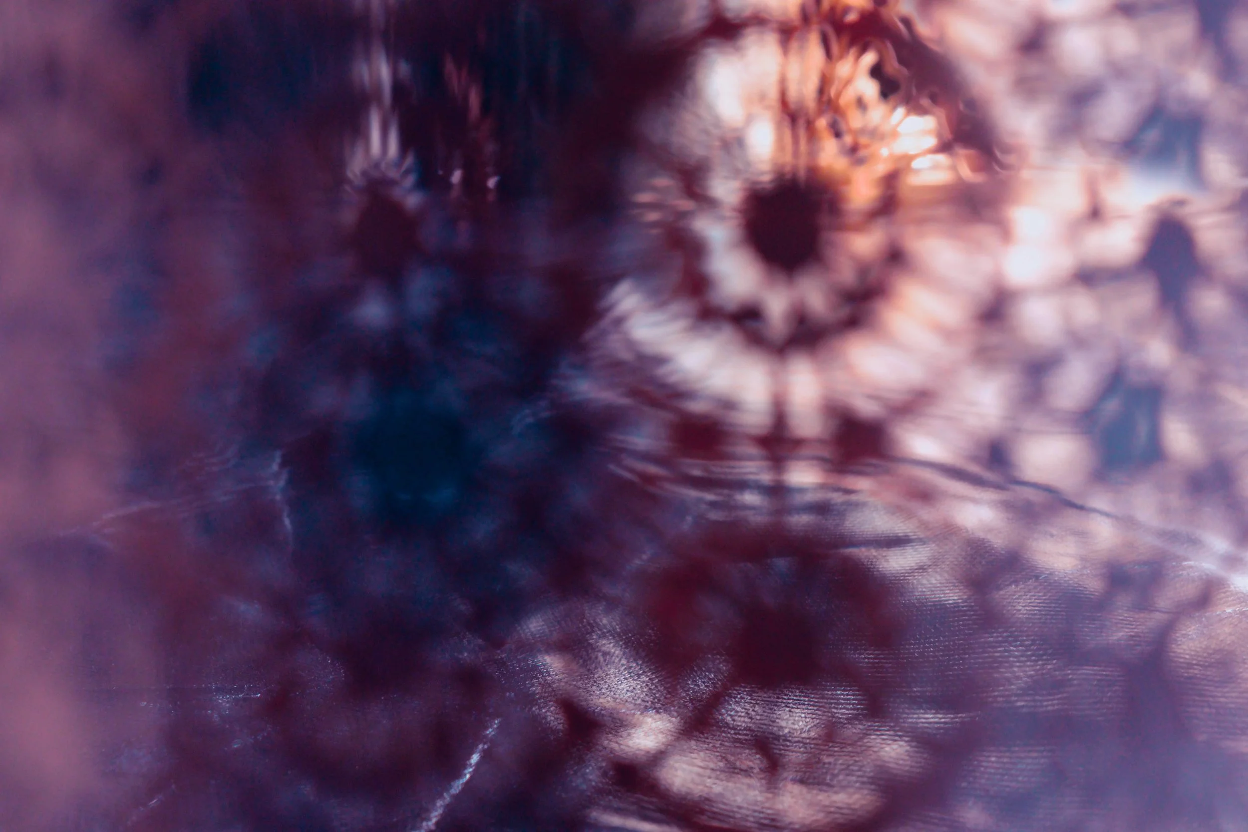 0006-jpg-La affascinare.jpg