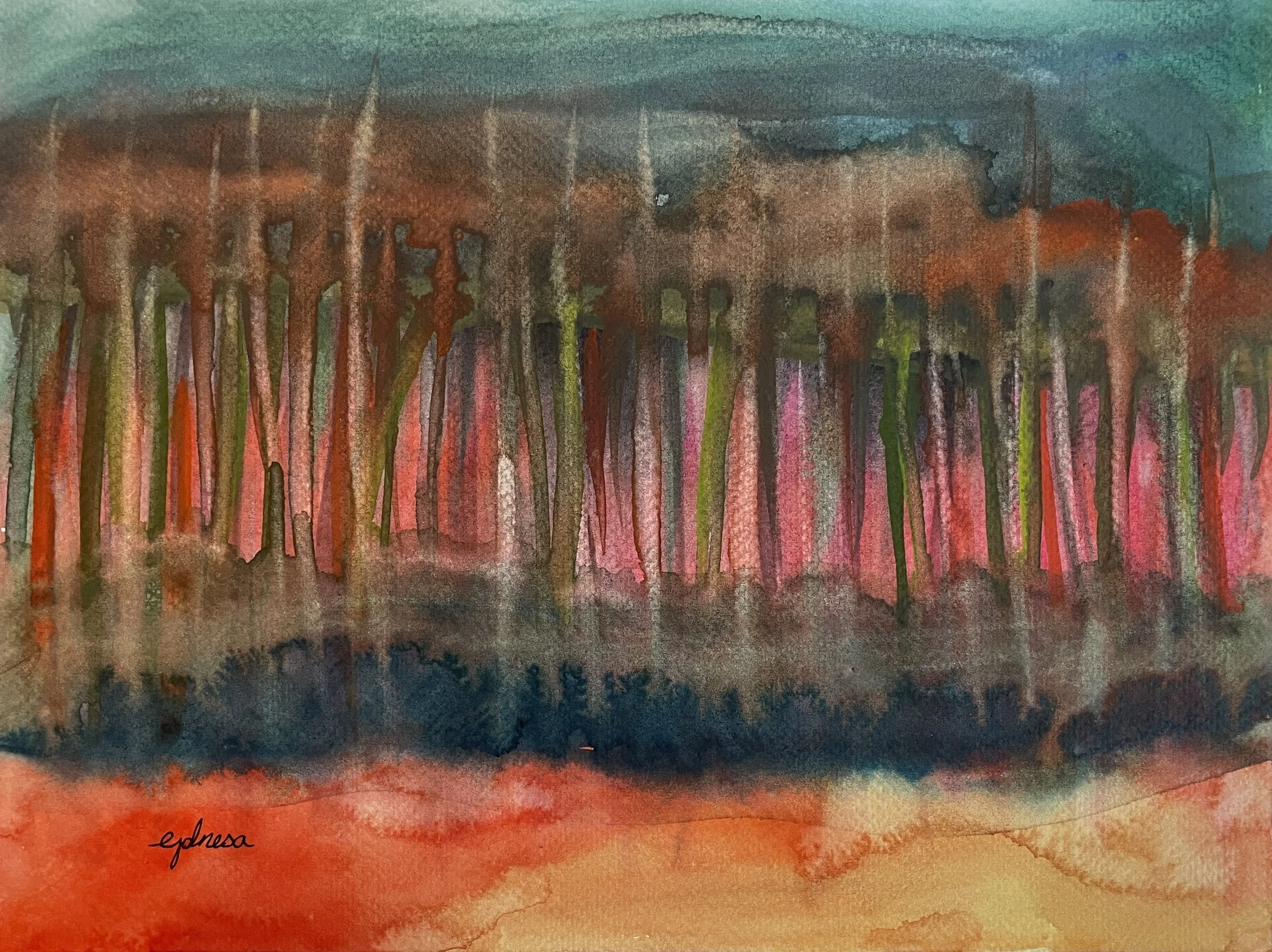 009 Sunset Forest .JPG