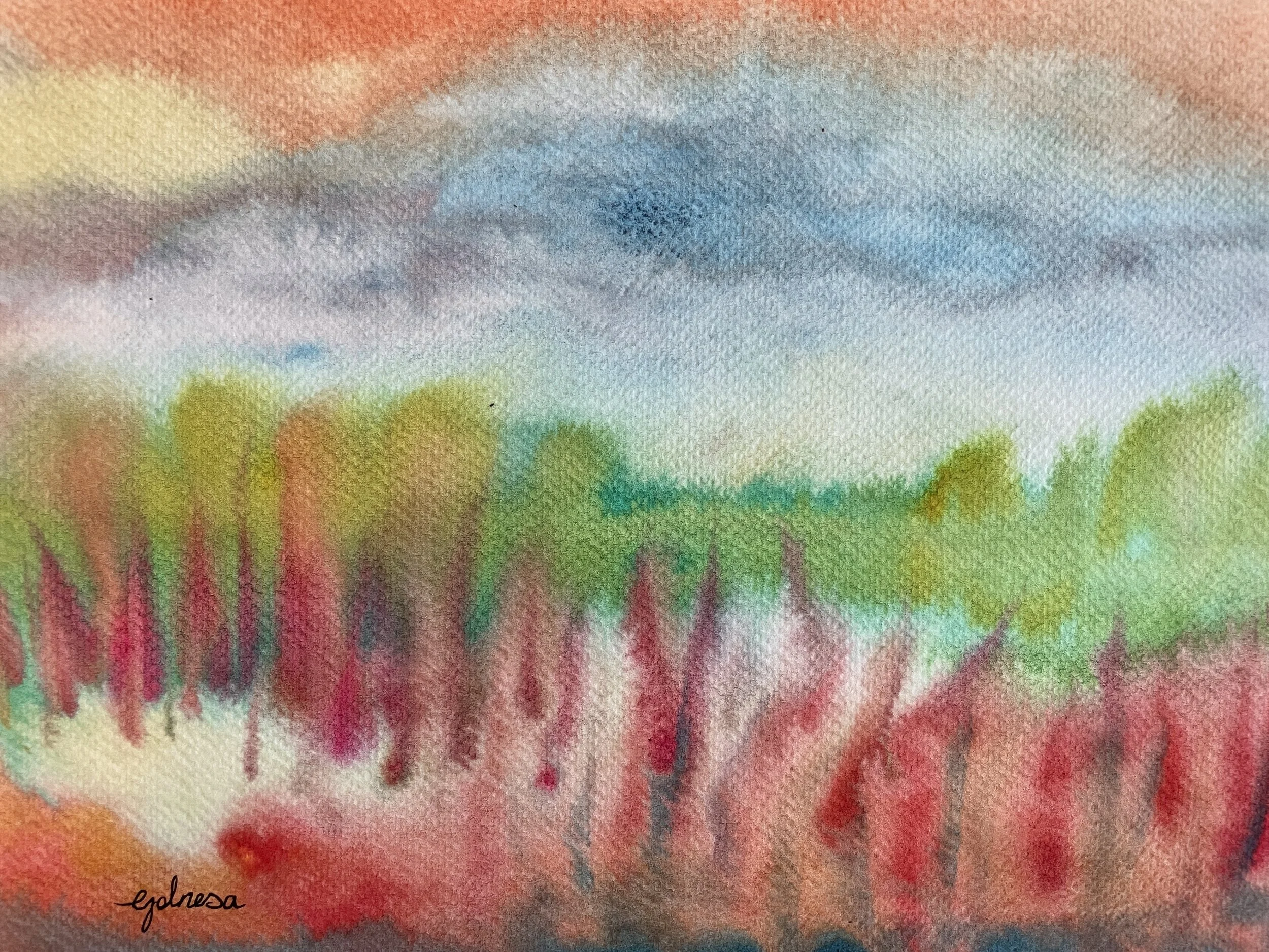 006 Timid Forest - close.JPG