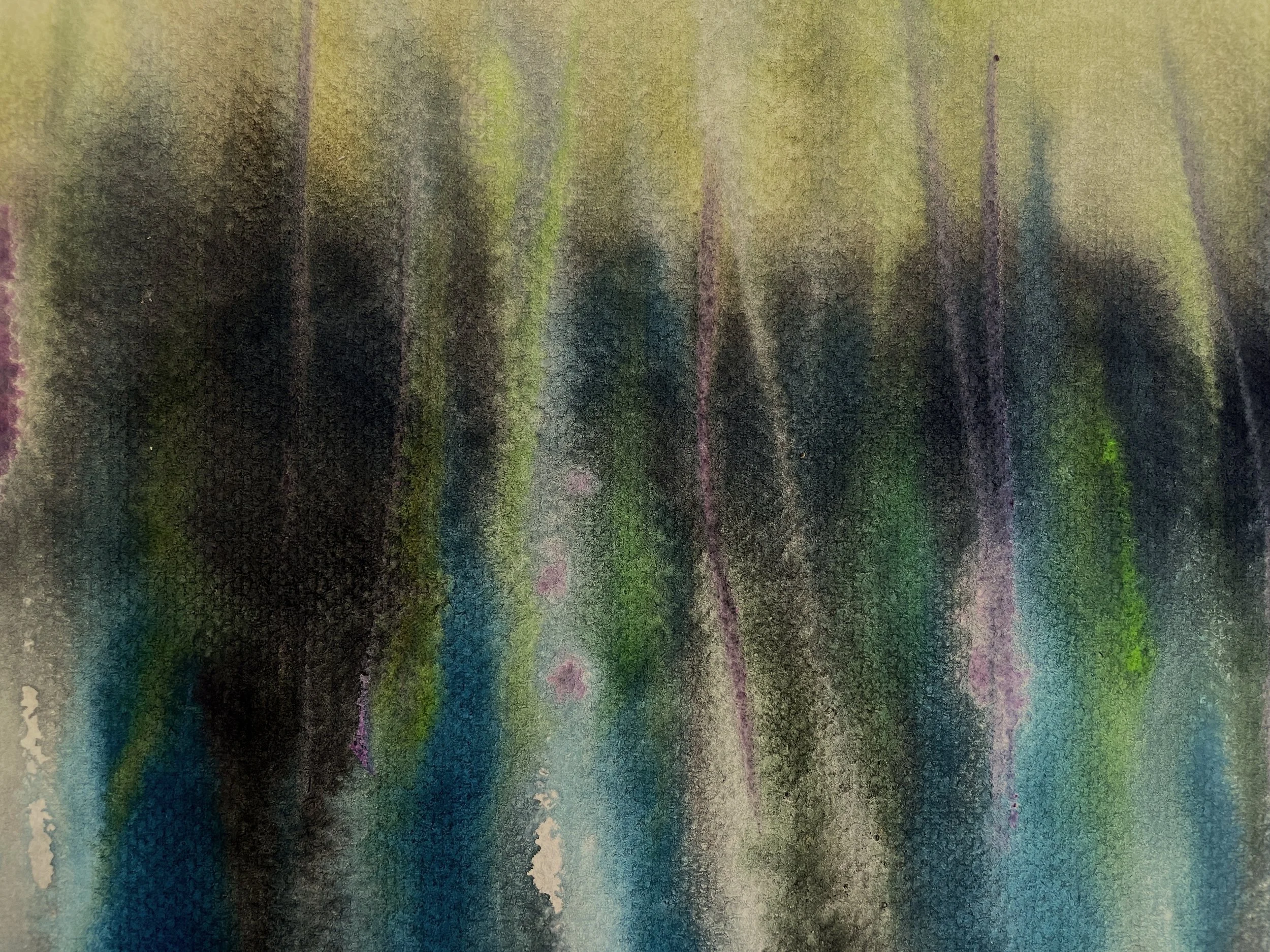 003 Tall Grass - close.JPG