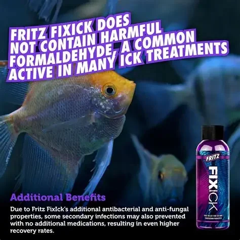 Fritz Fixick 1.webp