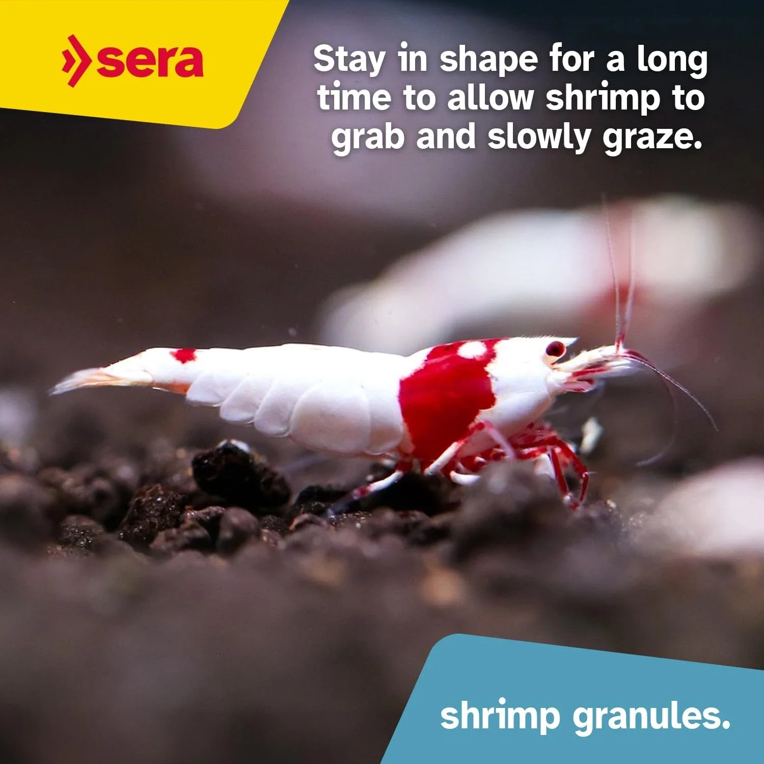 sera Shrimp Granules 3.webp