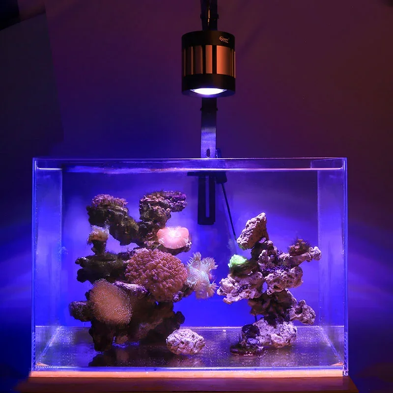 hygger-saltwater-aquarium-light.webp