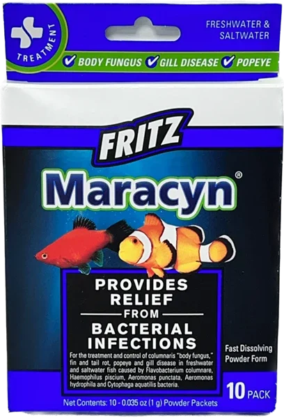 Fritz Maracyn 7.webp