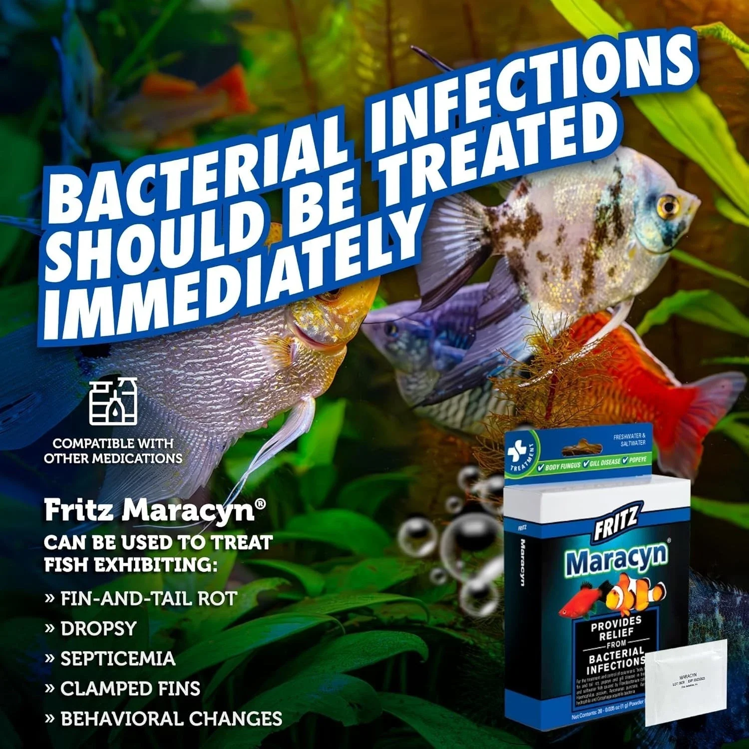 Fritz Maracyn 5.webp