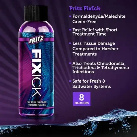 Fritz Fixick 6.webp