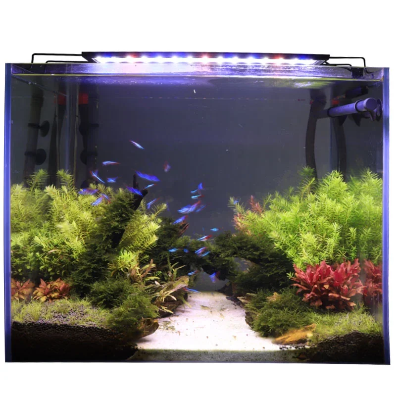 hygger-aquarium-red-blue-white-light-new.webp