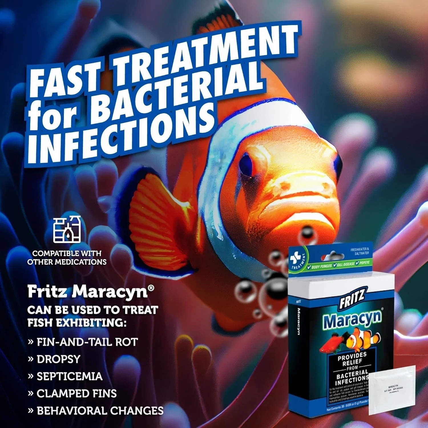 Fritz Maracyn 3.webp