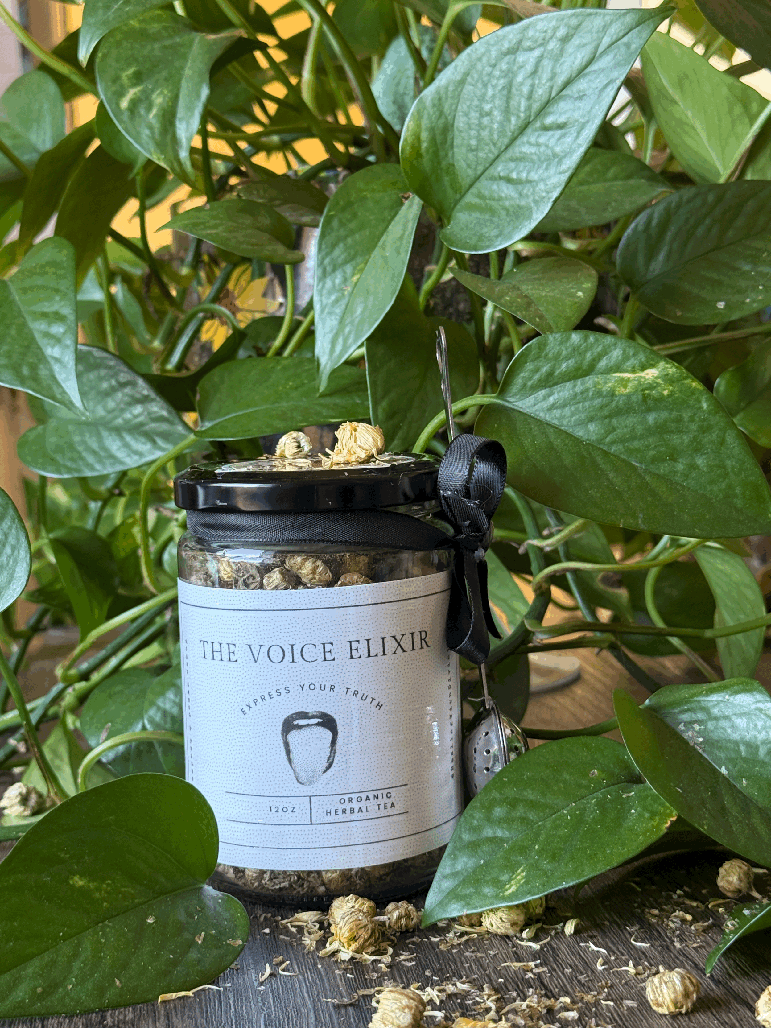 The Voice Elixir
