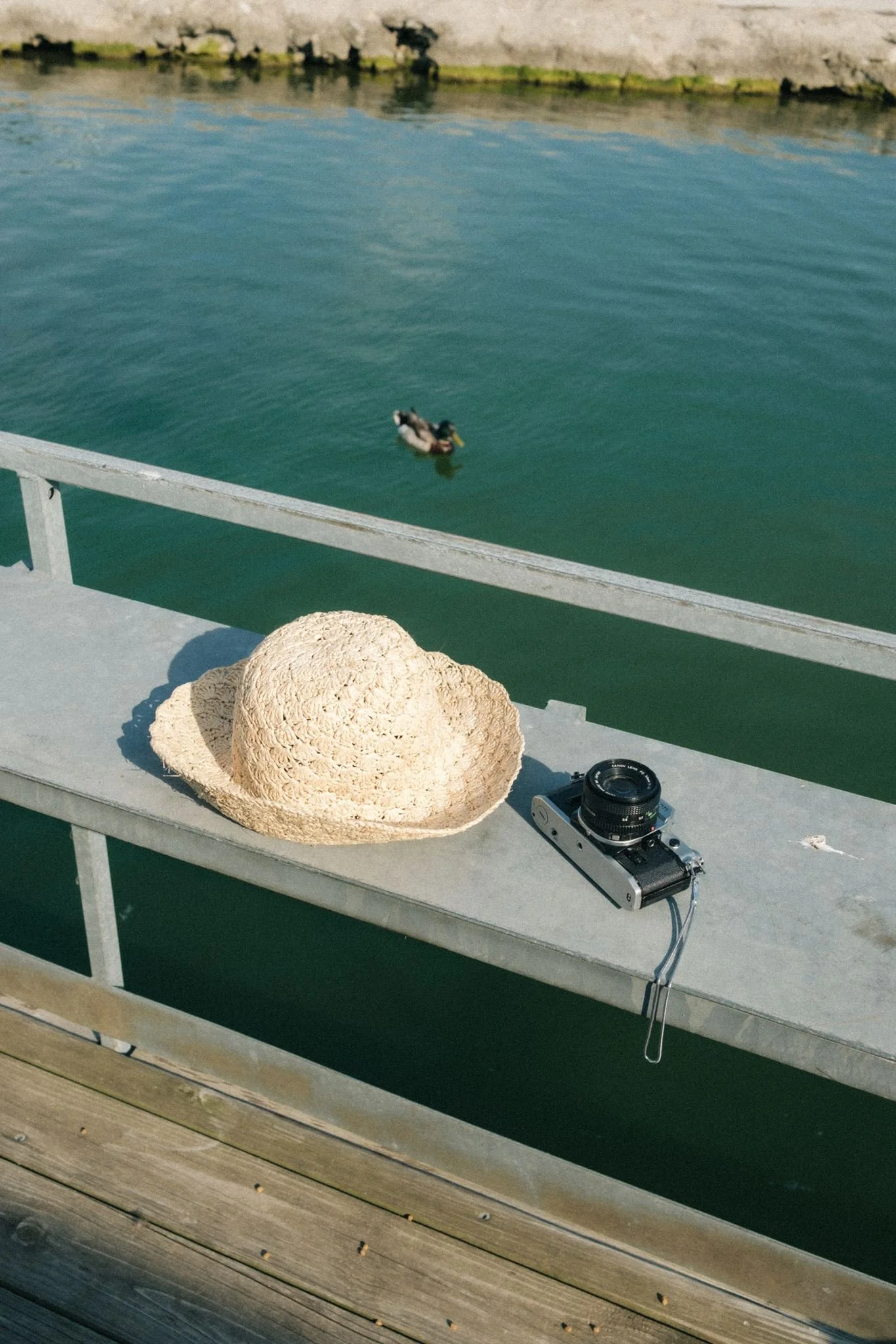  A straw hat and camera for photoshoot props. 
