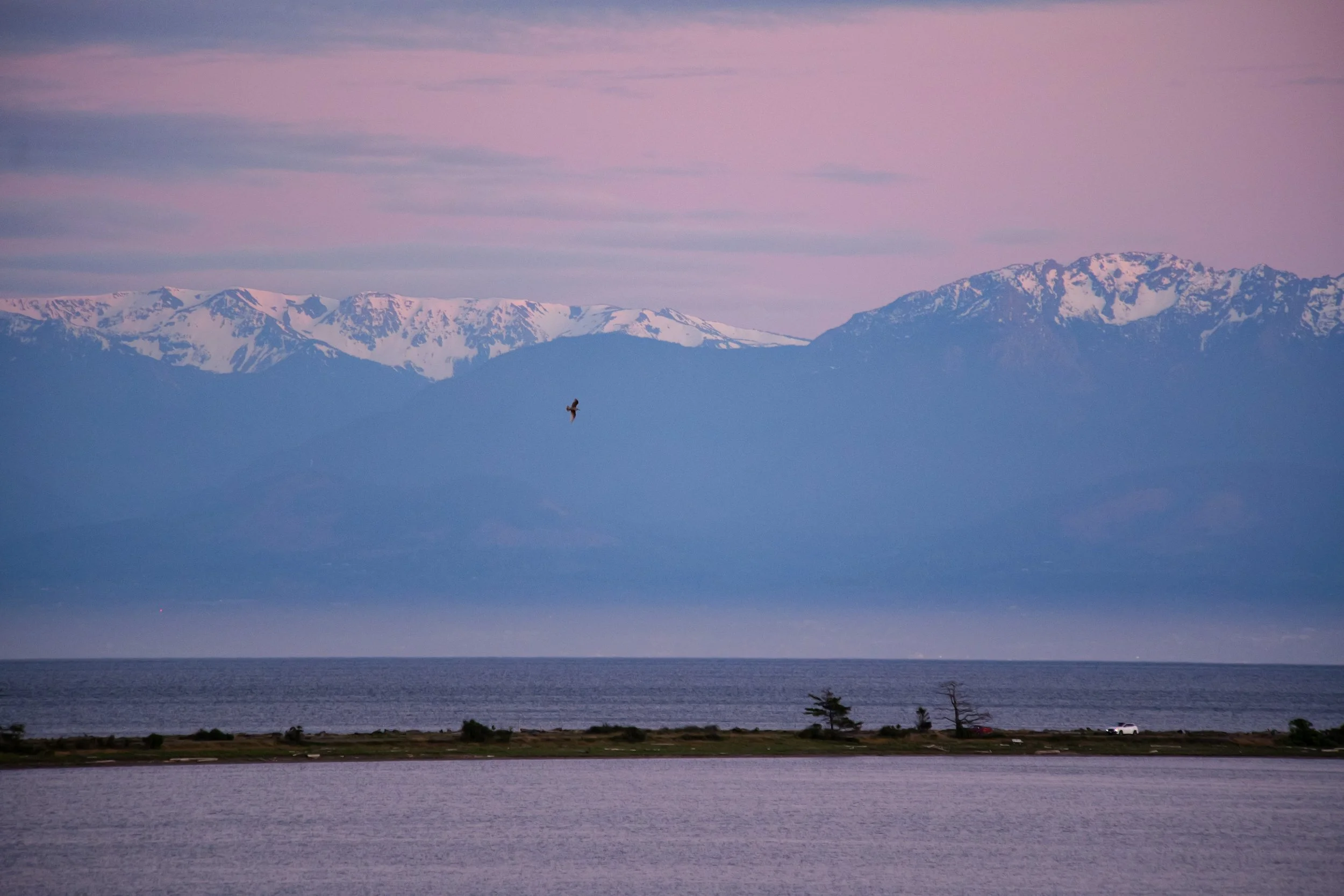 P1000376_edited.jpg